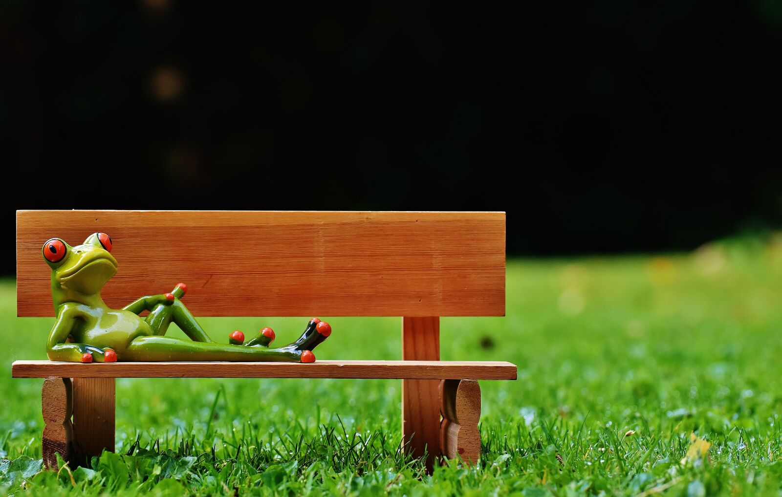 Nikon D7200 sample photo. Frogs, bank, bench photography