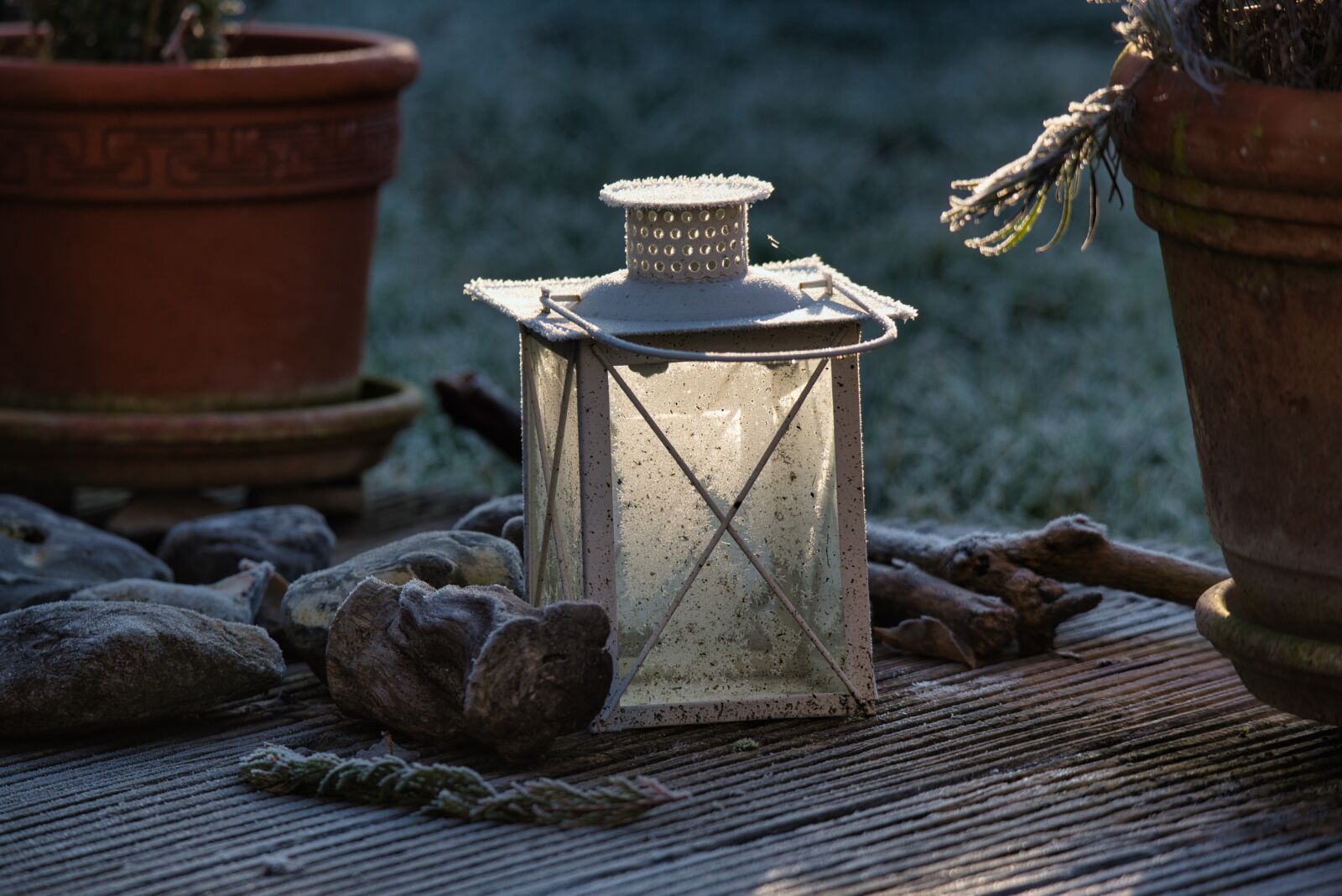 Nikon D750 sample photo. Autumn, outdoor, lamp photography