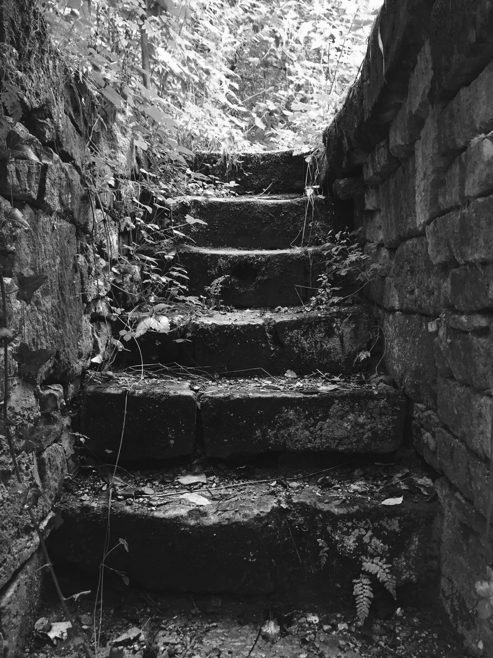 Apple iPhone 6 sample photo. Stairs, black, white photography