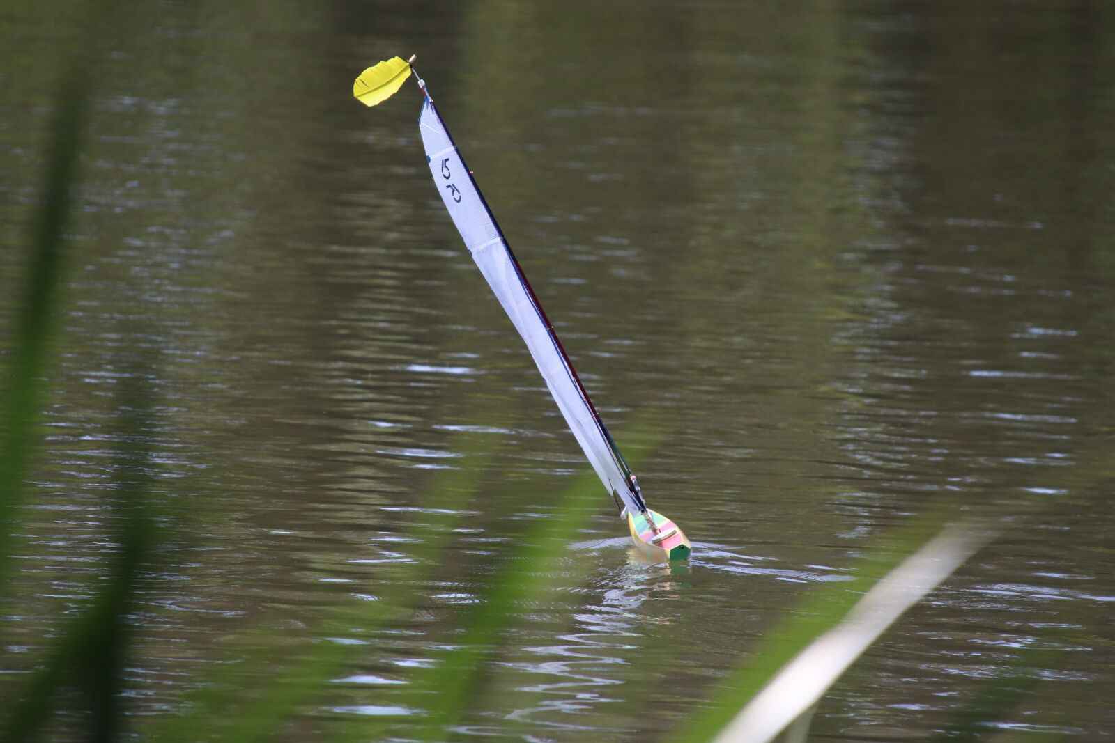 Canon EOS 200D (EOS Rebel SL2 / EOS Kiss X9) sample photo. Sailing boat, model, lake photography