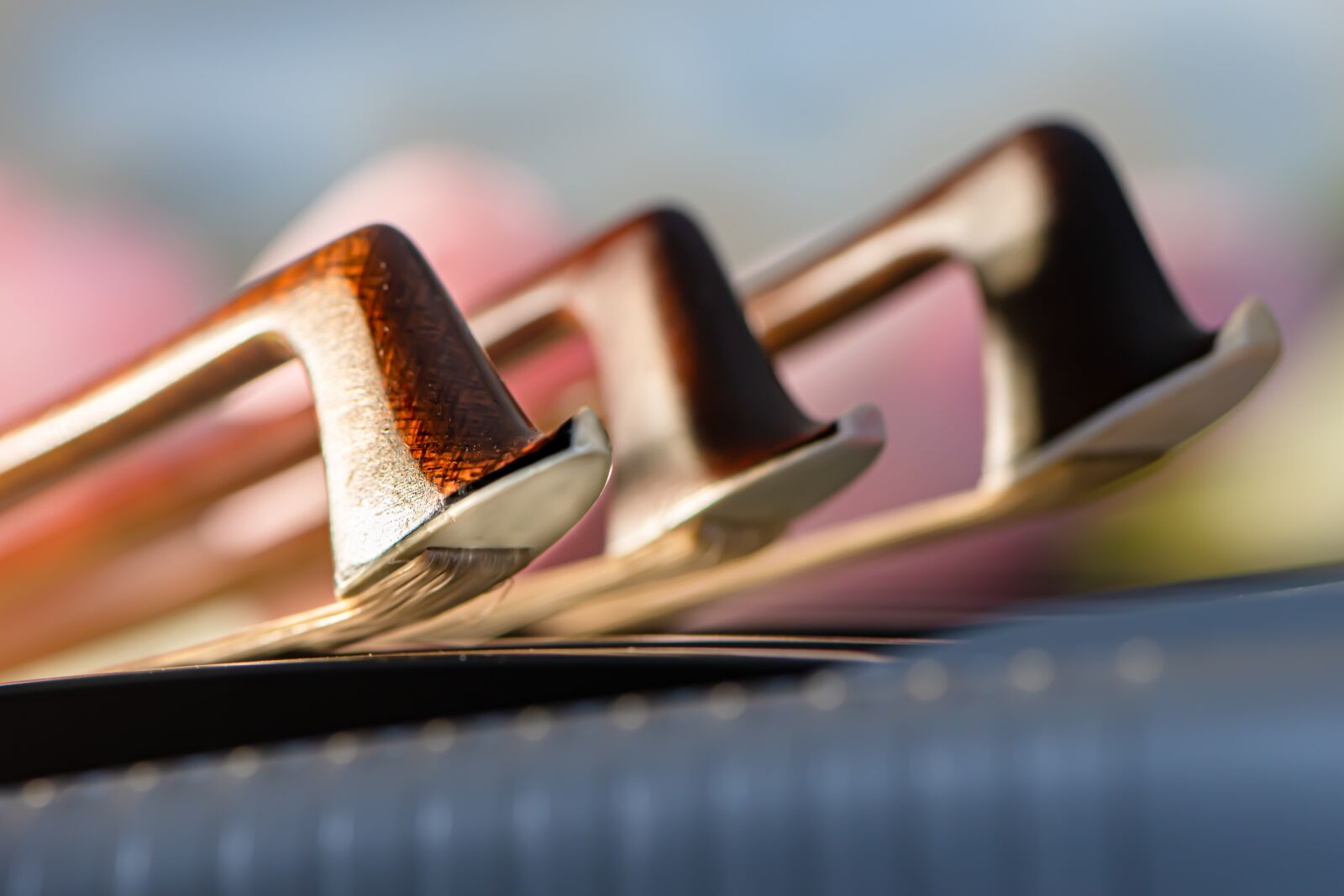 Nikon D5600 sample photo. Cello, bows, strings photography