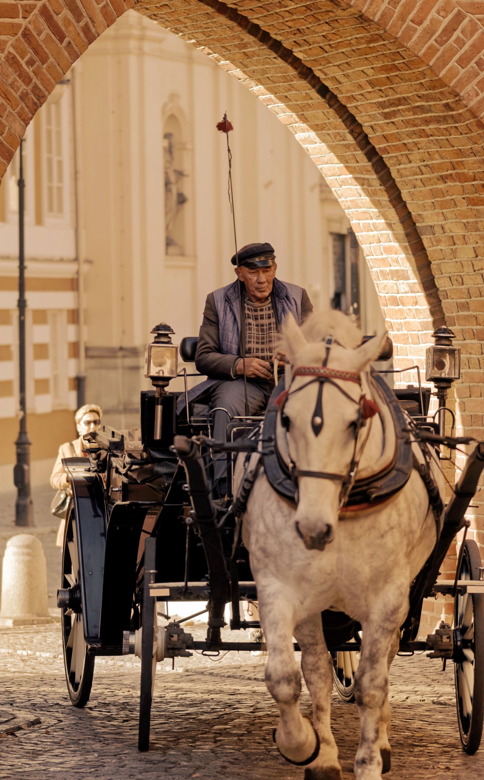 Nikon D5100 sample photo. Coach, the driver, horse photography