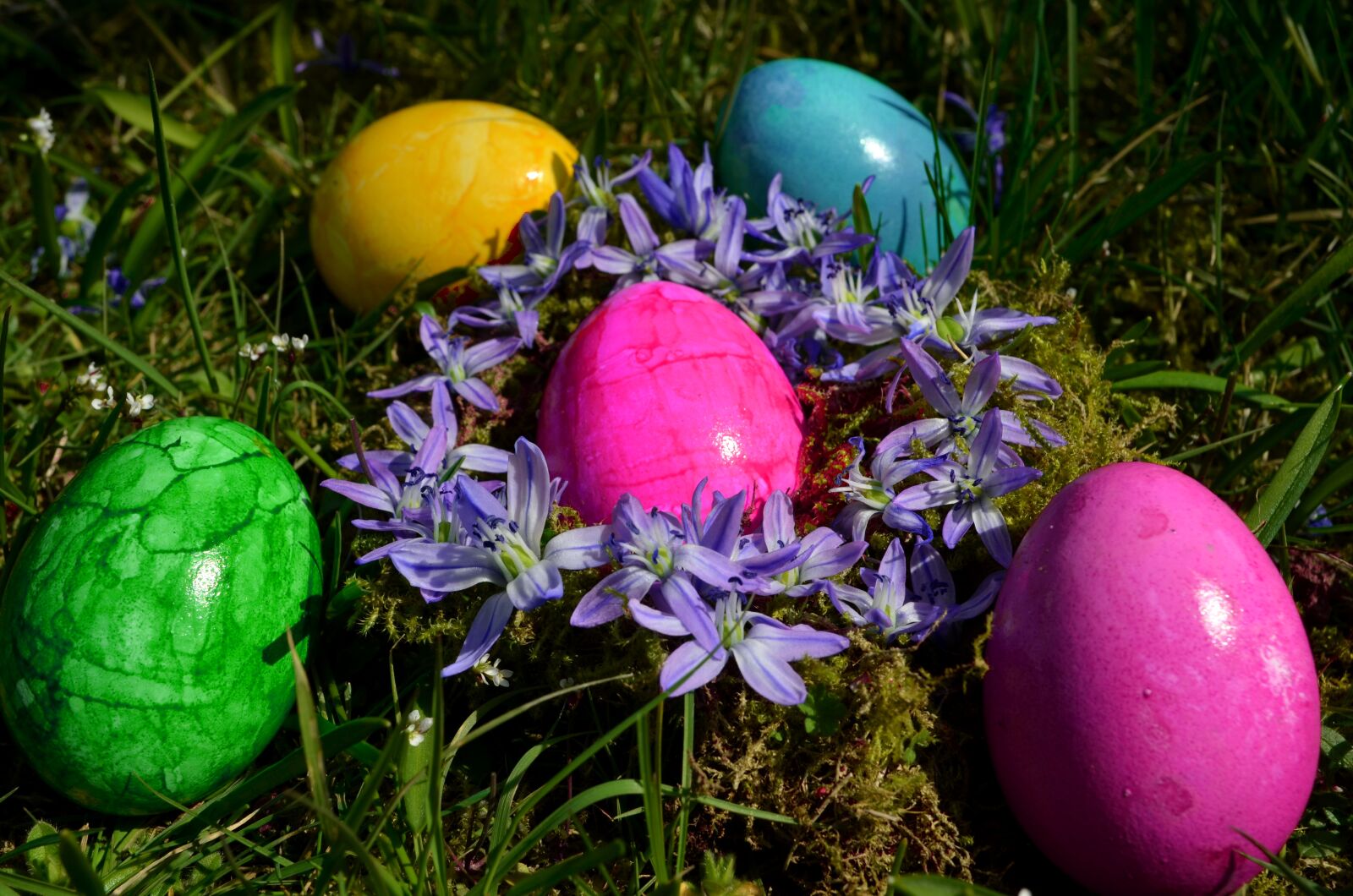 Nikon D5100 sample photo. Easter, colorful, easter eggs photography
