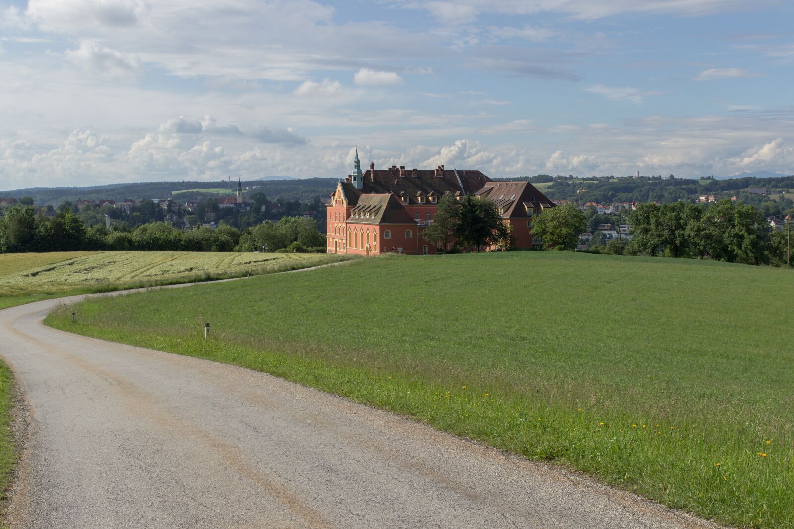 Canon EOS 600D (Rebel EOS T3i / EOS Kiss X5) sample photo. Grass, landscape, nature photography