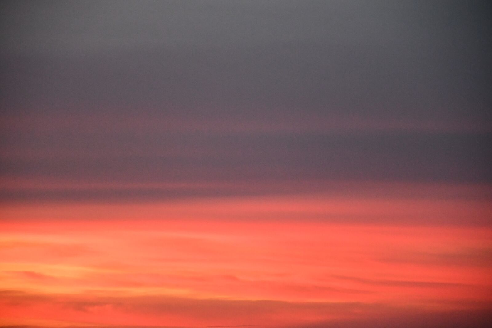 Nikon D7500 sample photo. Red, clouds, gray photography