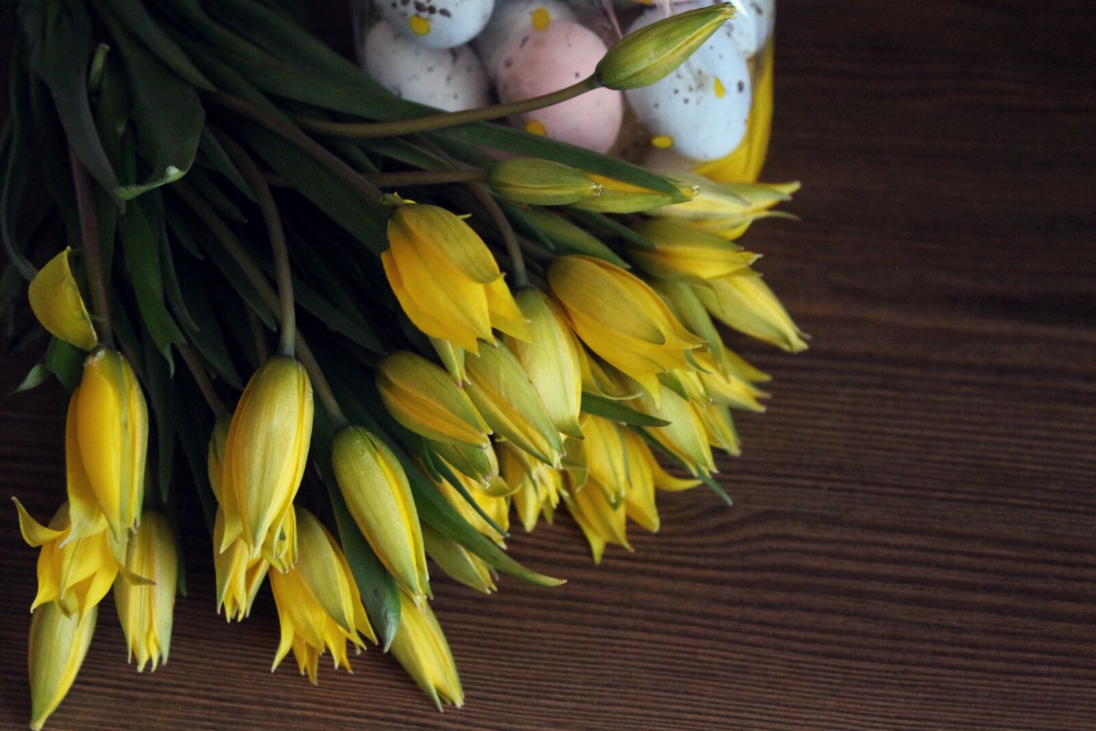 Canon EOS 1100D (EOS Rebel T3 / EOS Kiss X50) sample photo. Happy easter, eggs, holiday photography