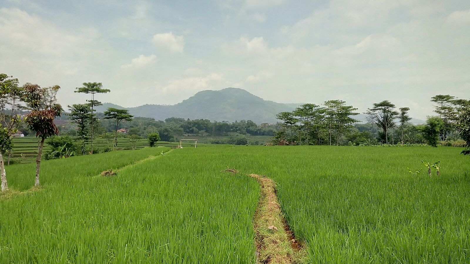 Lenovo X2-AP sample photo. Green, mountain, landscape photography