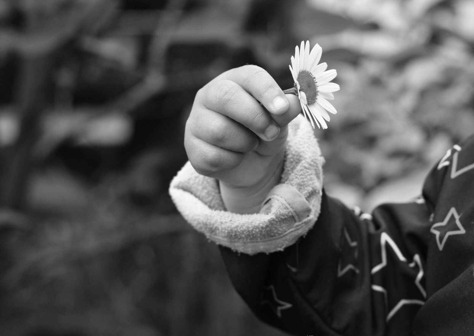 Nikon D5200 sample photo. Hand, child's hand, marguerite photography