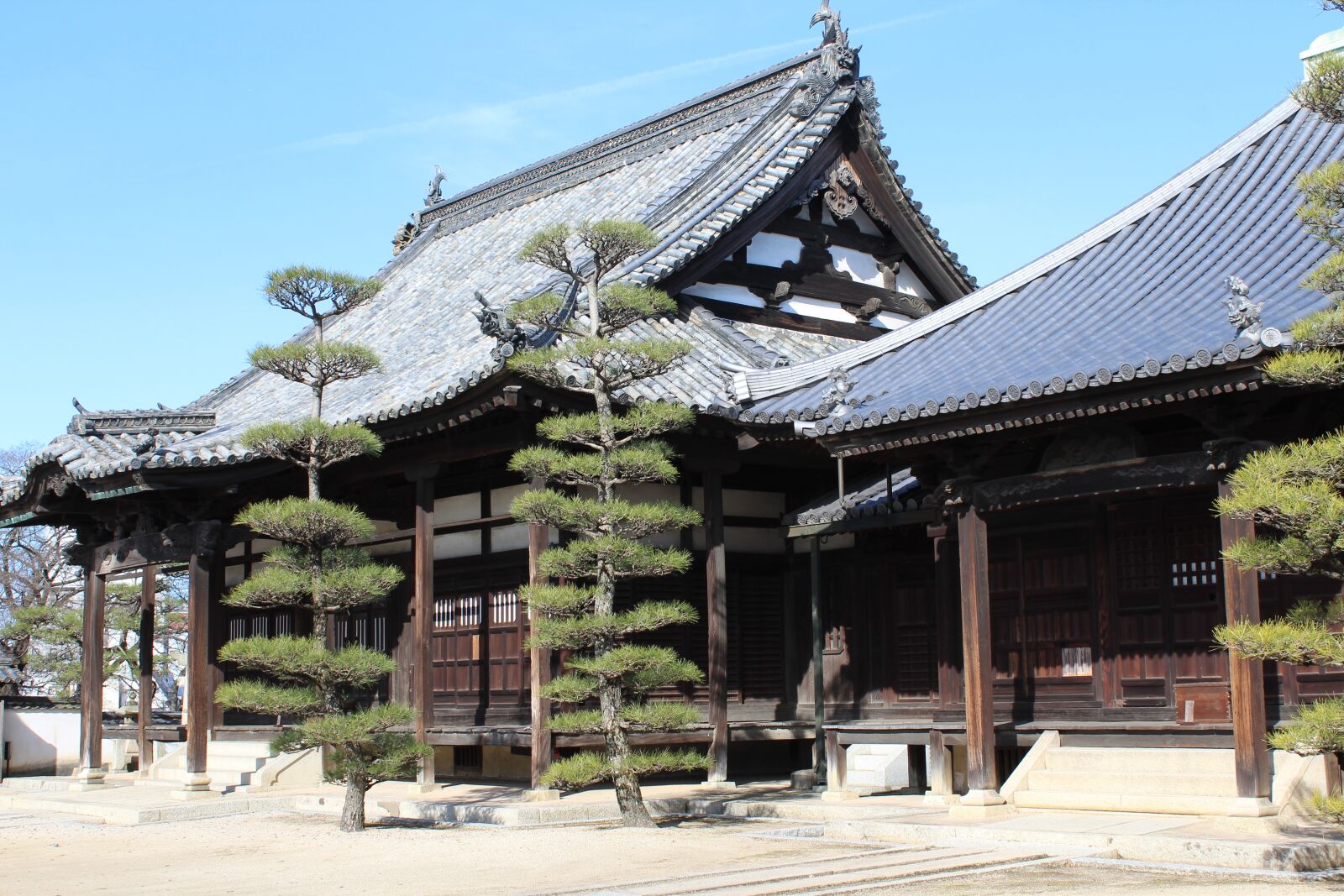 Canon EOS 1200D (EOS Rebel T5 / EOS Kiss X70 / EOS Hi) sample photo. Japan, temple, japanese photography