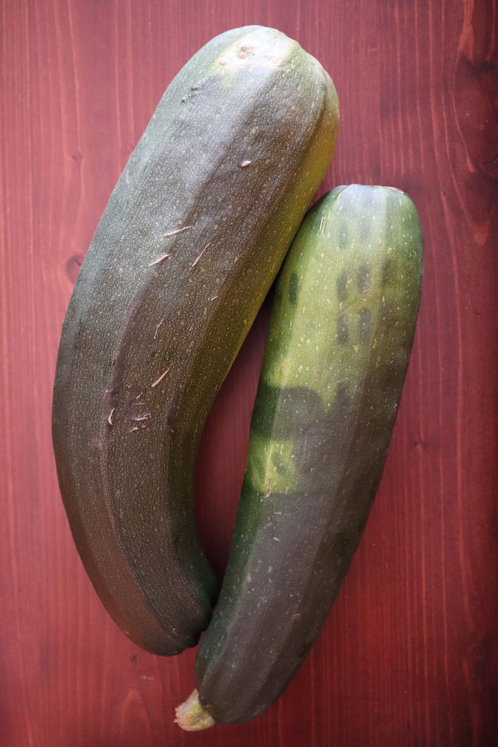 Canon EF-M 15-45mm F3.5-6.3 IS STM sample photo. Courgettes, green, brown photography