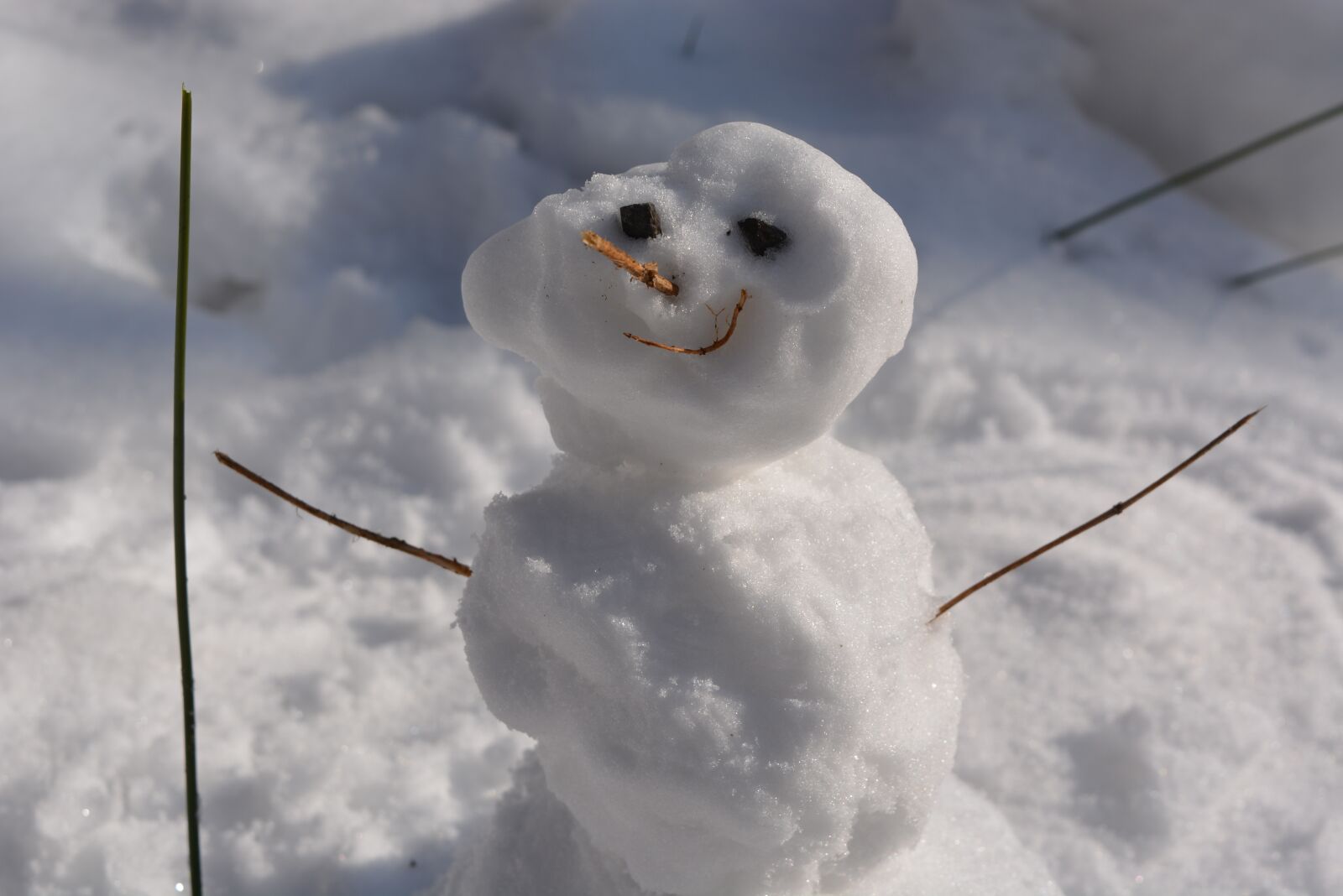 Nikon D5200 sample photo. Snowman, the snowman, winter photography