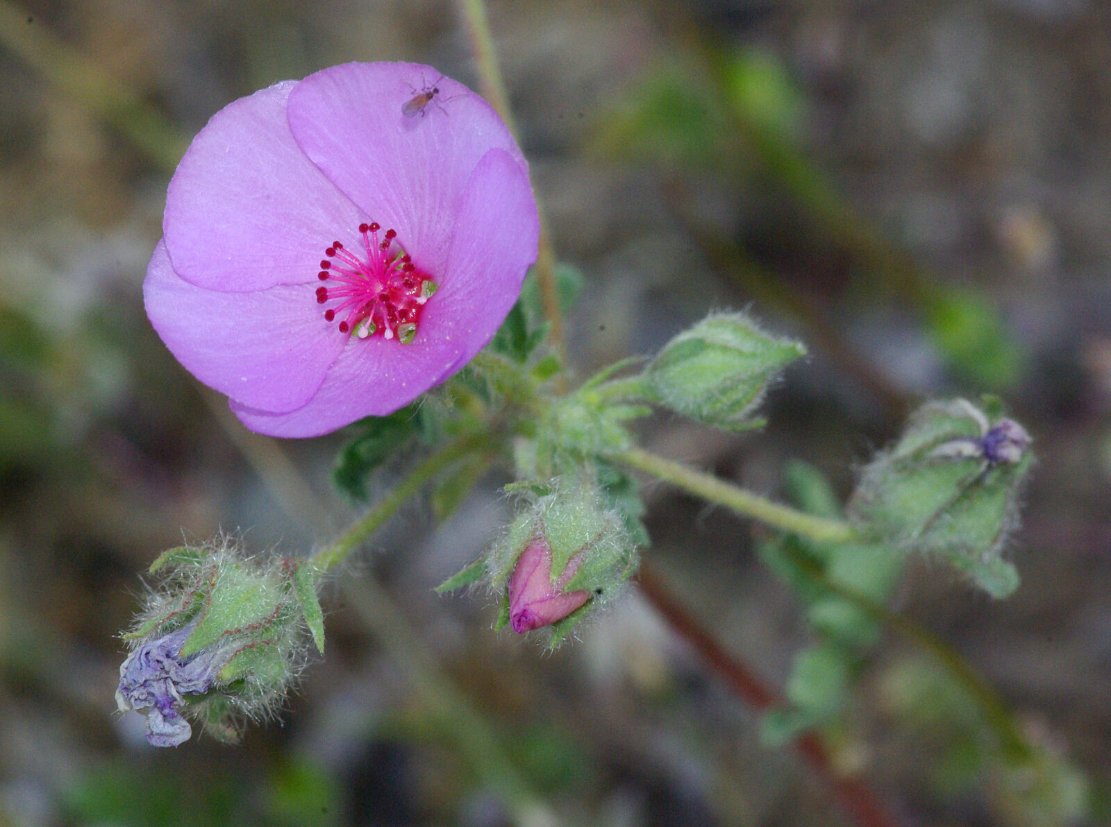 Pentax K10D sample photo