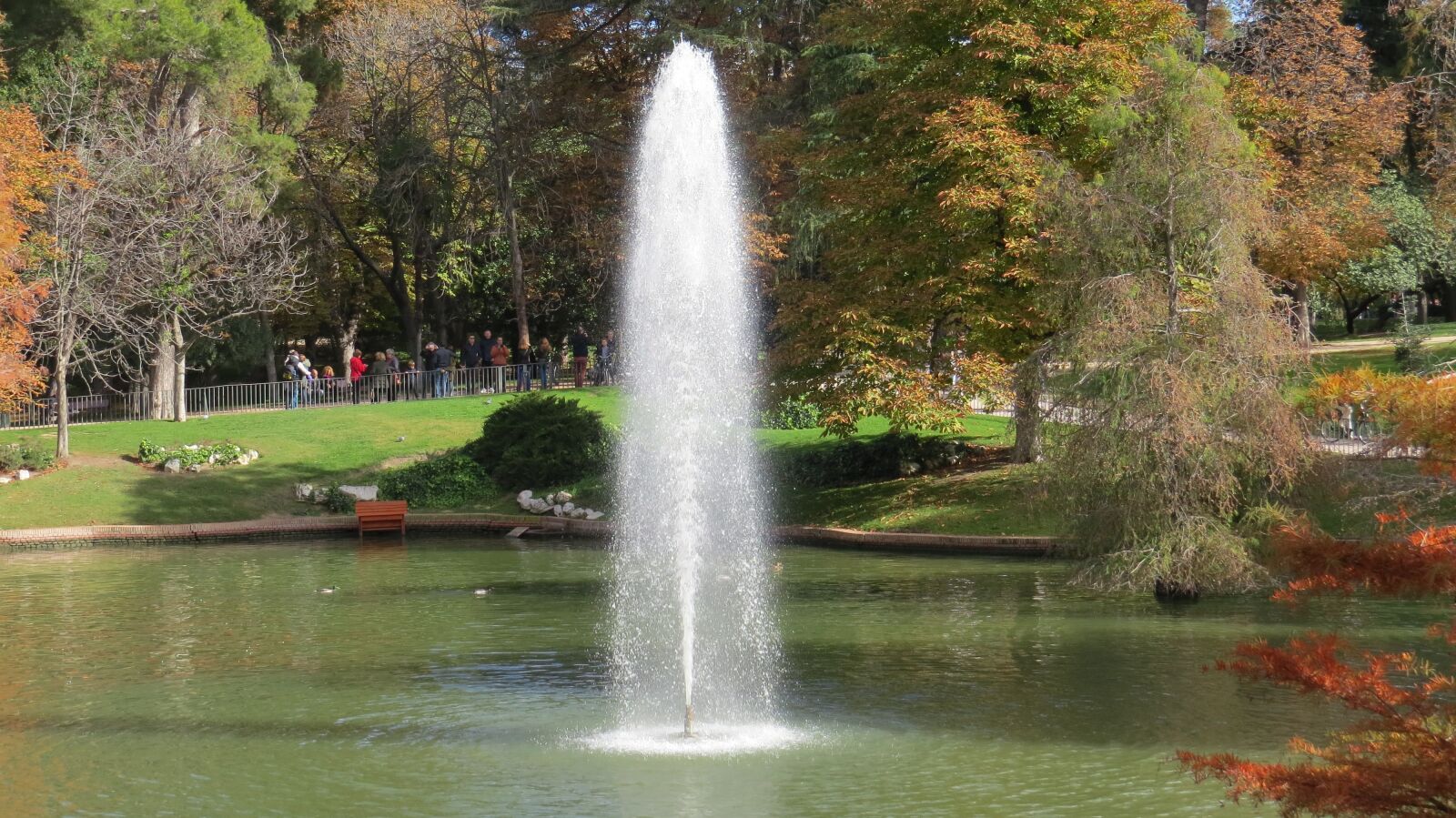 Canon PowerShot SX50 HS sample photo. Madrid, removal, source photography