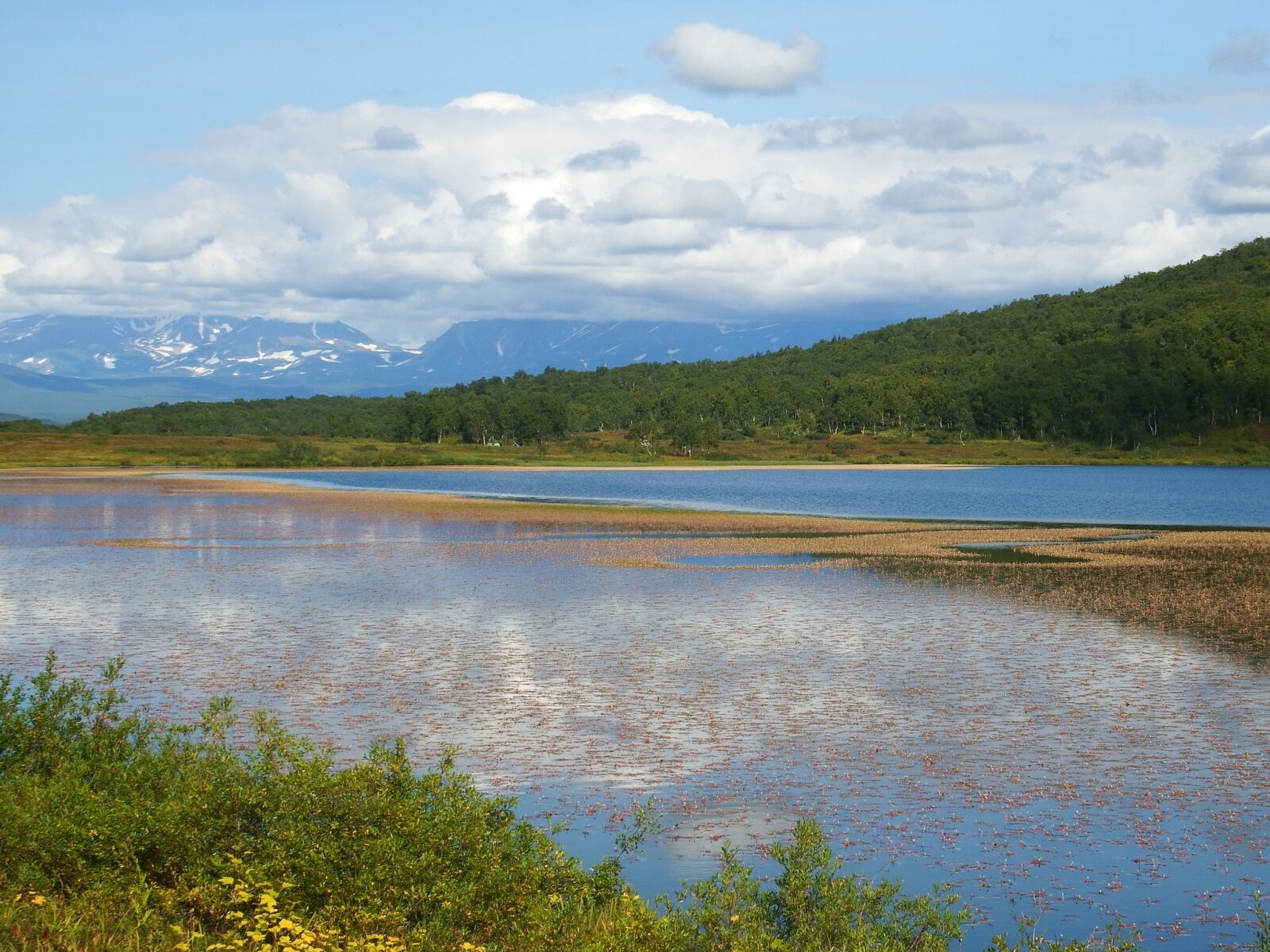 Fujifilm FinePix S1 sample photo. Lake, mountains, forest photography