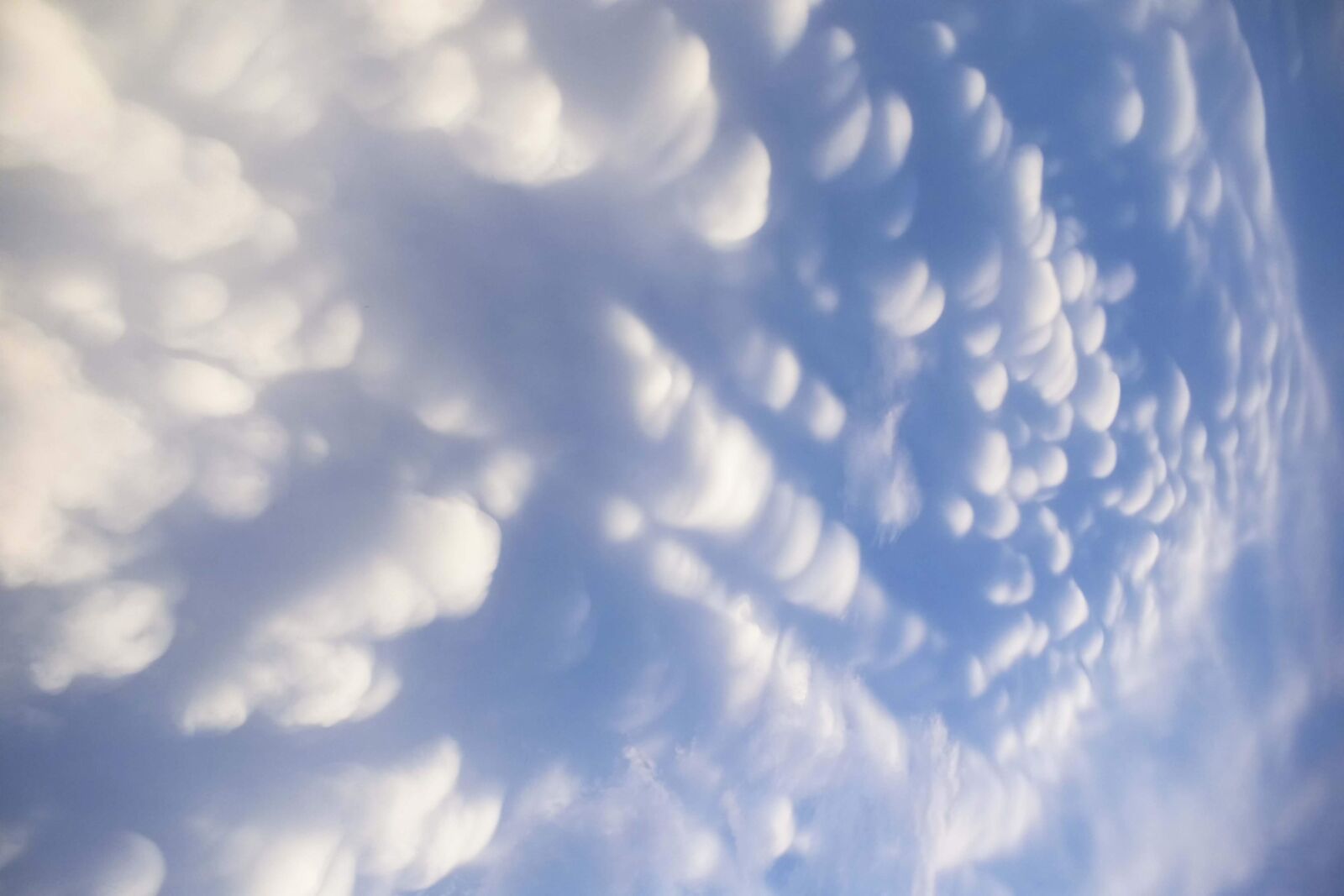Nikon D3400 sample photo. Mammatus clouds, mammatus, cloud photography