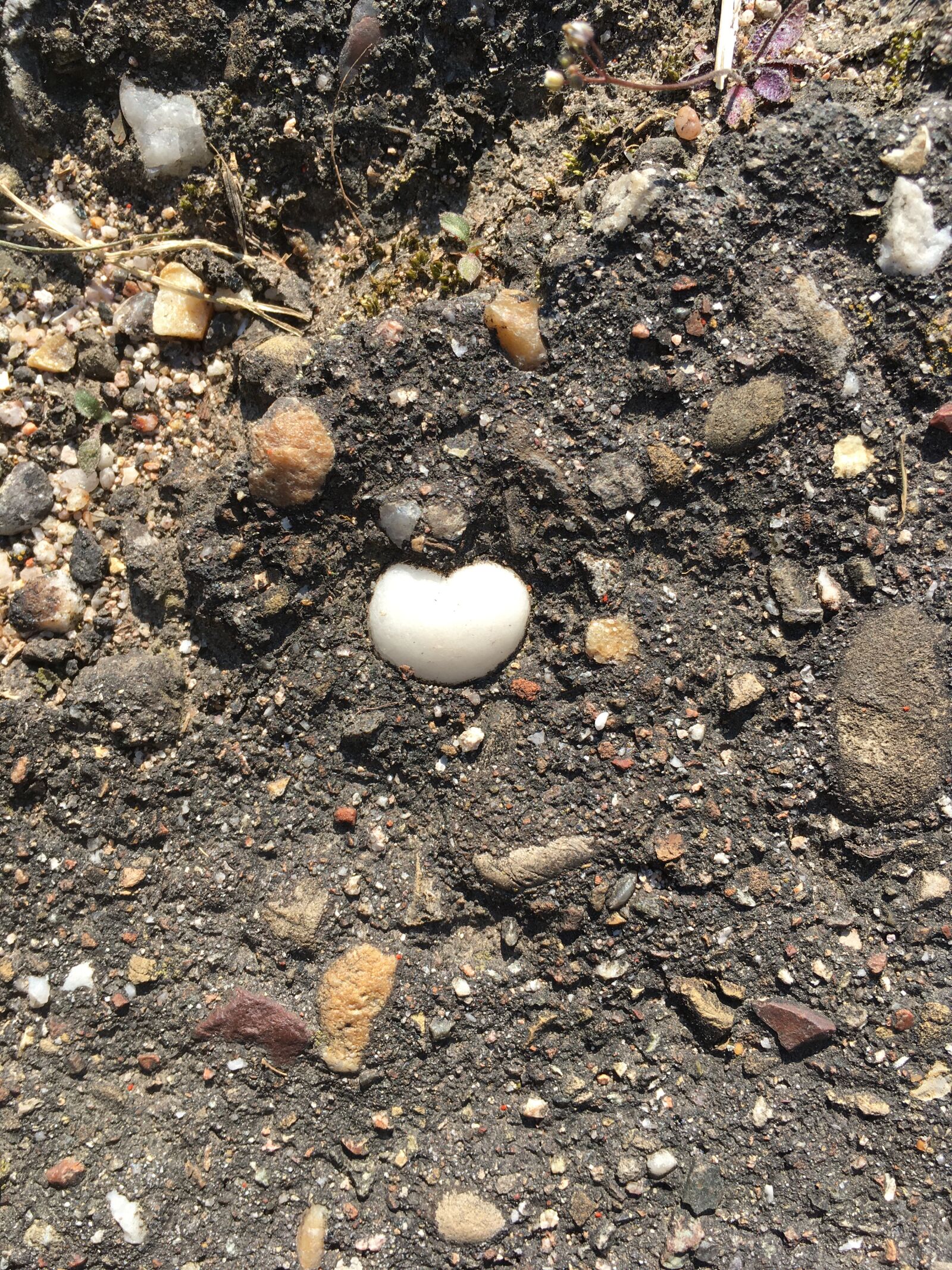 iPhone SE back camera 4.15mm f/2.2 sample photo. Heart, stone, artifact photography