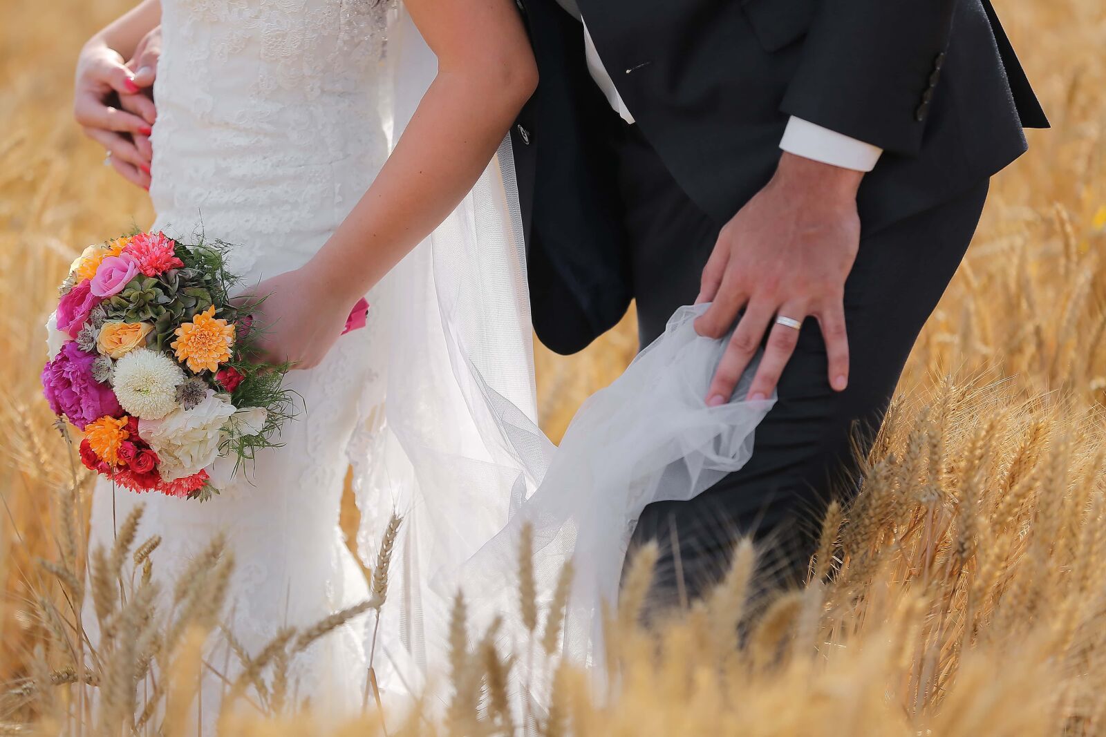 Canon EOS 5D Mark III sample photo. Barley, field, wedding dress photography