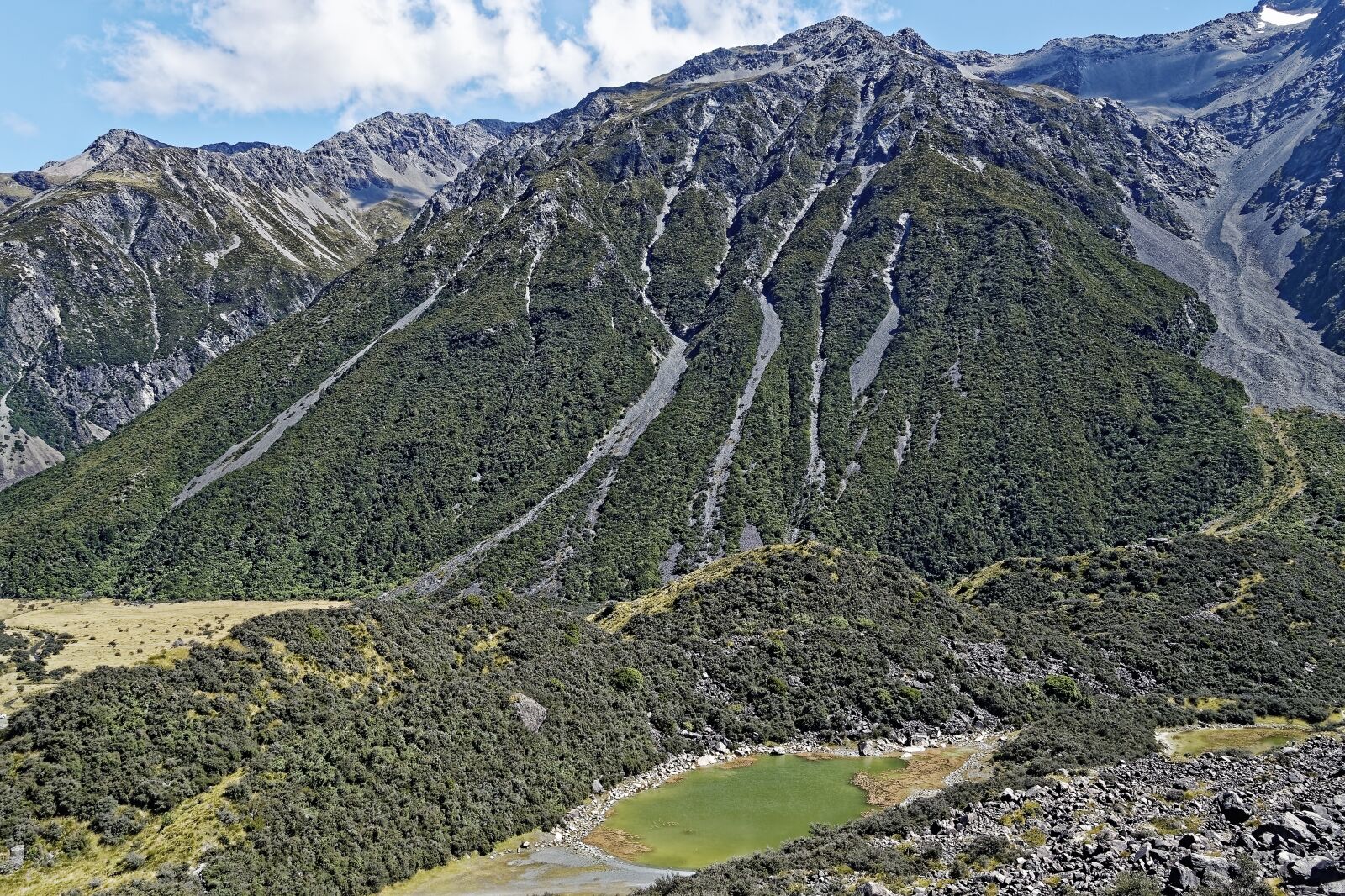 Nikon D500 sample photo. New zealand, aoraki mount photography