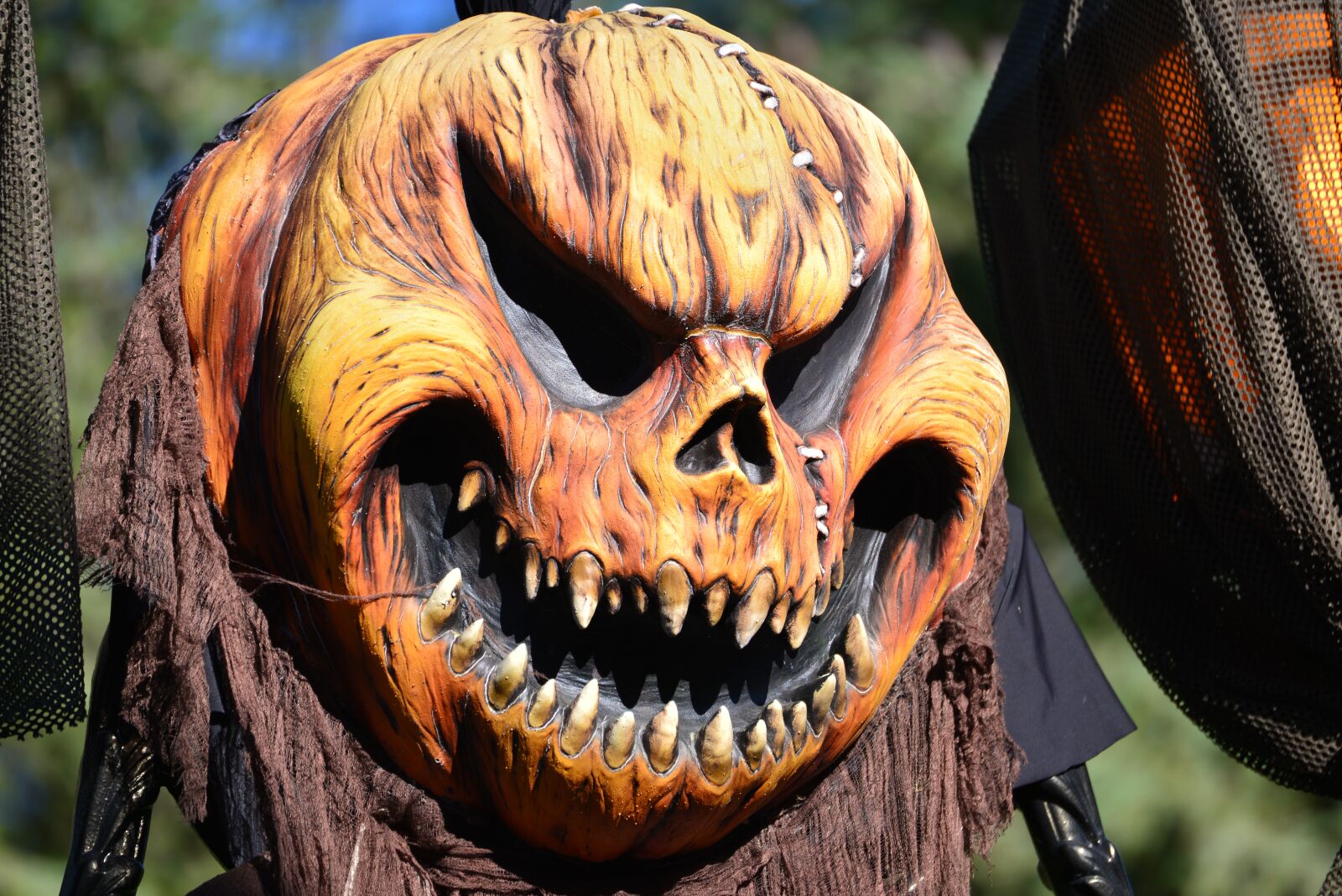 Nikon D610 sample photo. Halloween, pumpkin, look photography