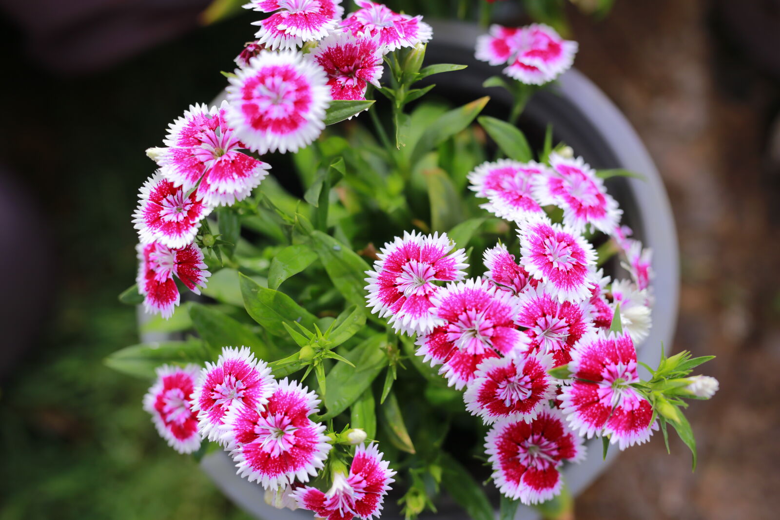 Canon EOS 6D sample photo