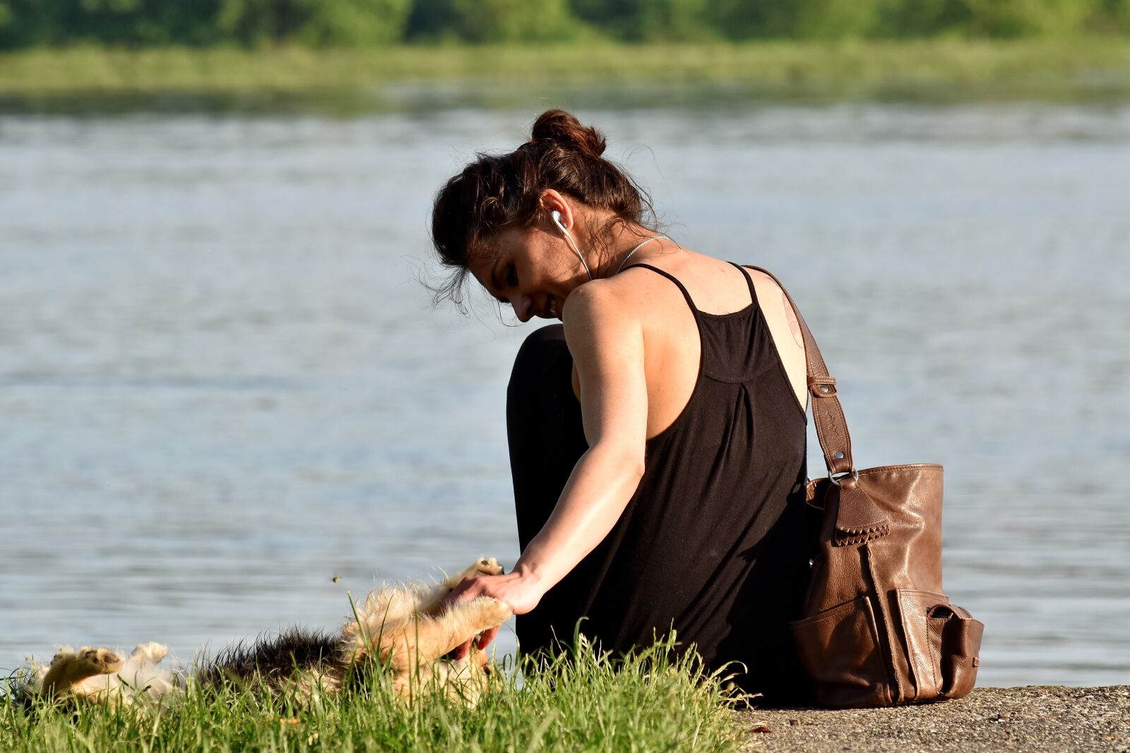Nikon D5500 sample photo. Dog, dress, enjoying, grass photography