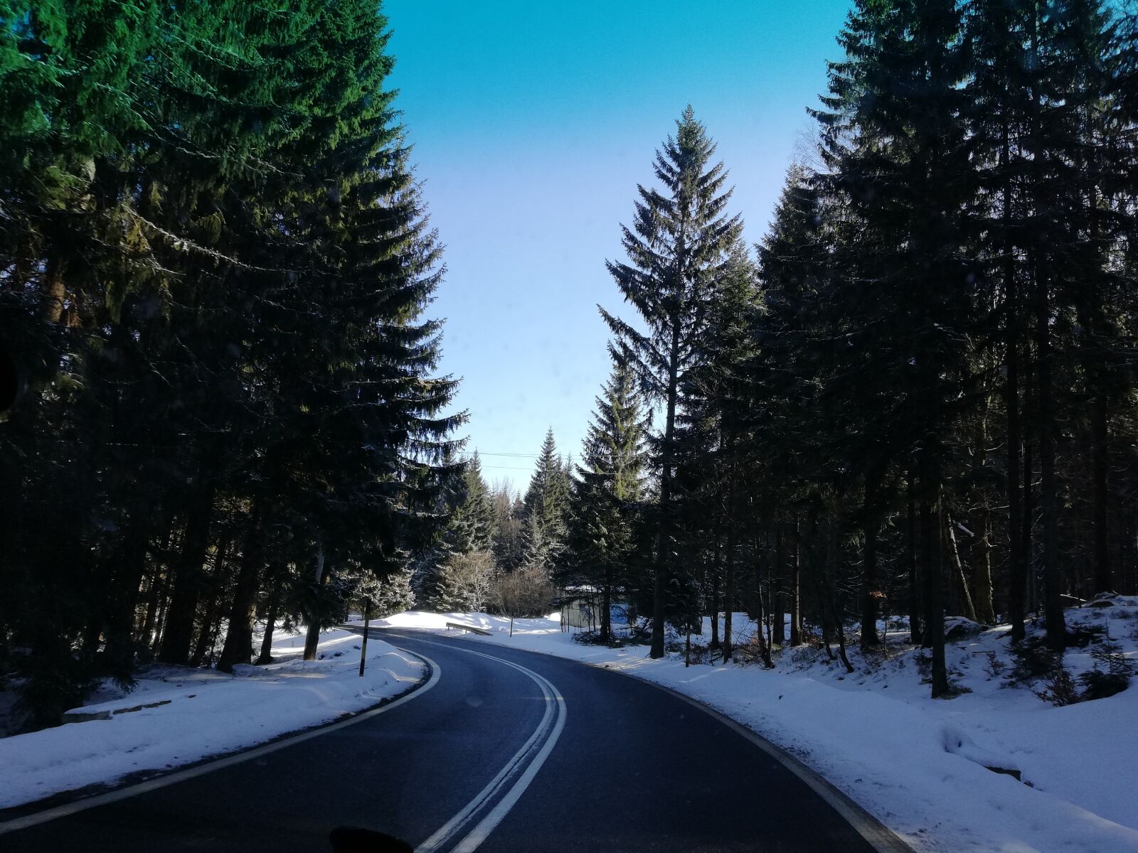 HUAWEI Mate 10 Lite sample photo. Tree, snow, winter photography