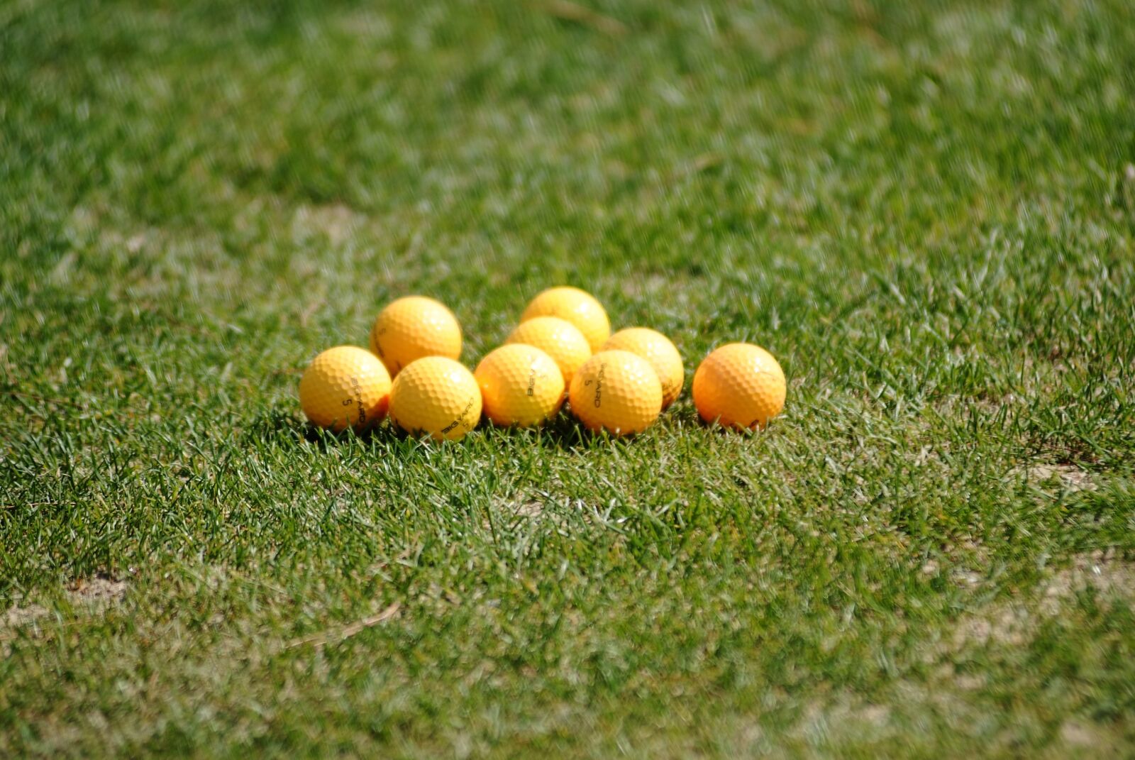 Fujifilm FinePix S5 Pro sample photo. Golf balls, golf course photography