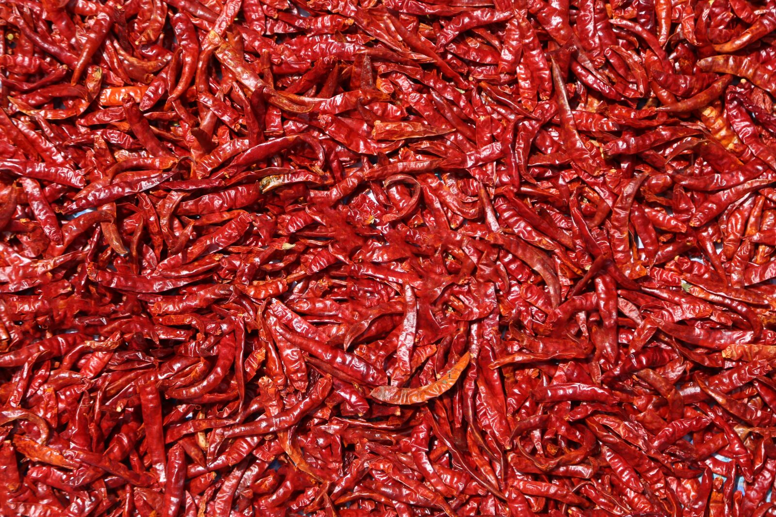 Canon EOS 6D + Canon EF 24-105mm F4L IS USM sample photo. Chilli, spices, dry photography