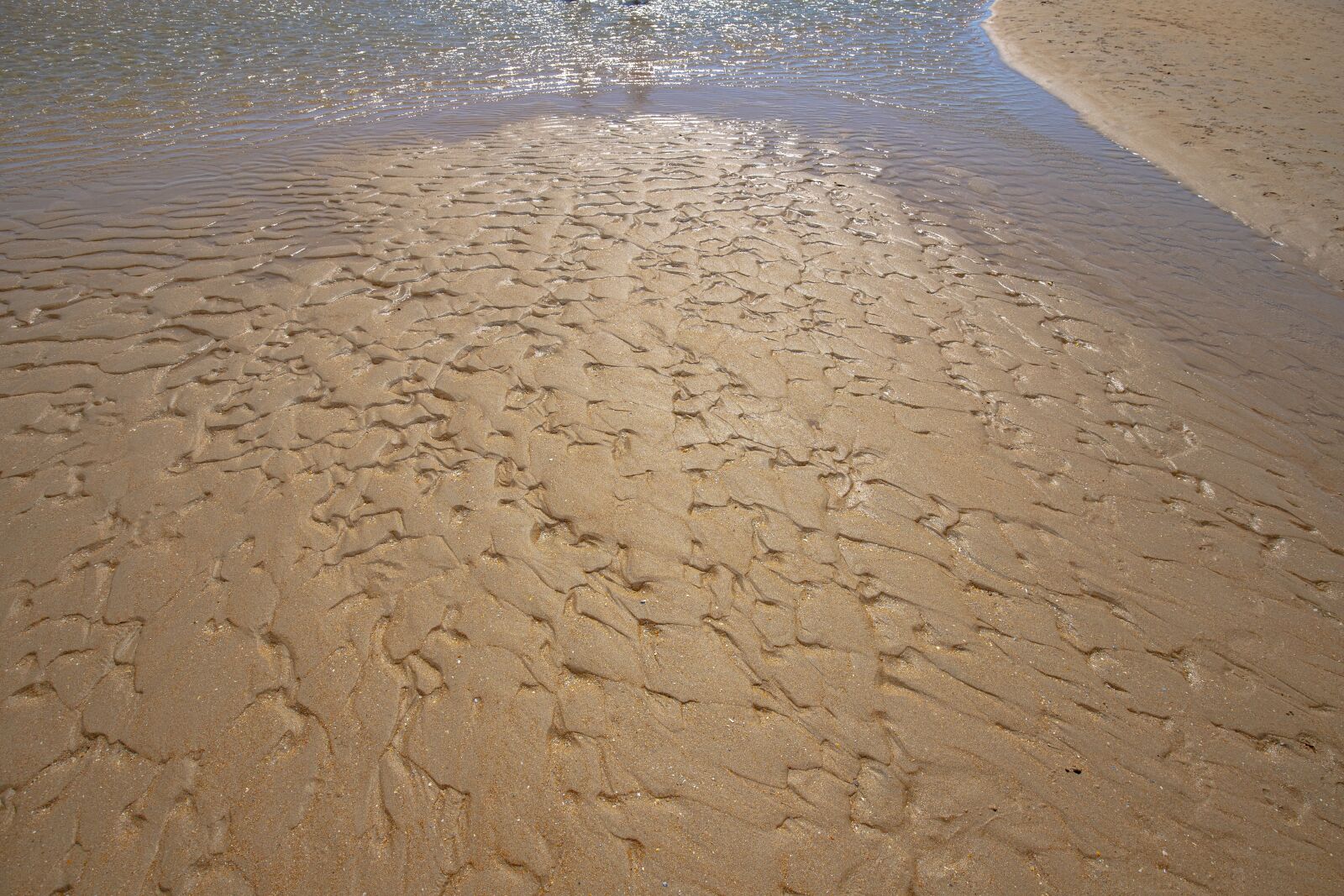 Canon EF 16-35mm F4L IS USM sample photo. Sand, beach, sea photography