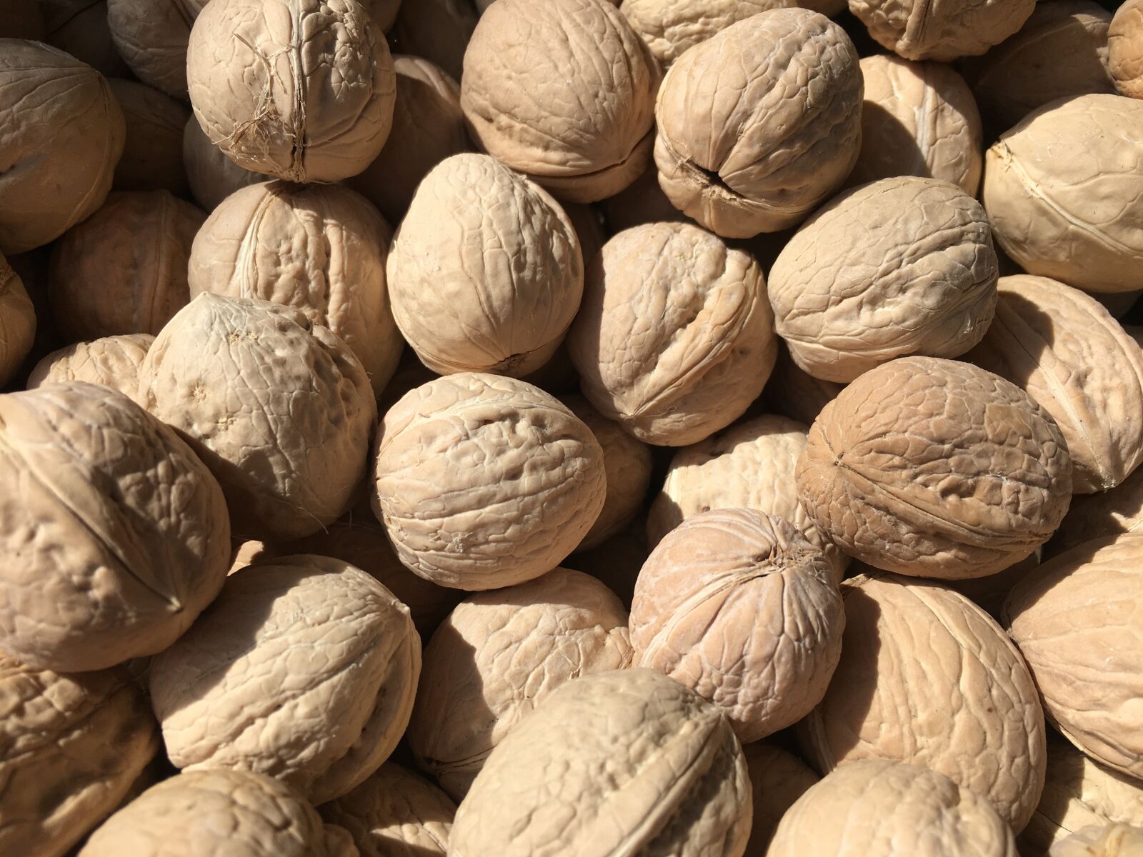 Apple iPhone 6s sample photo. Nuts, walnuts, nutshell photography