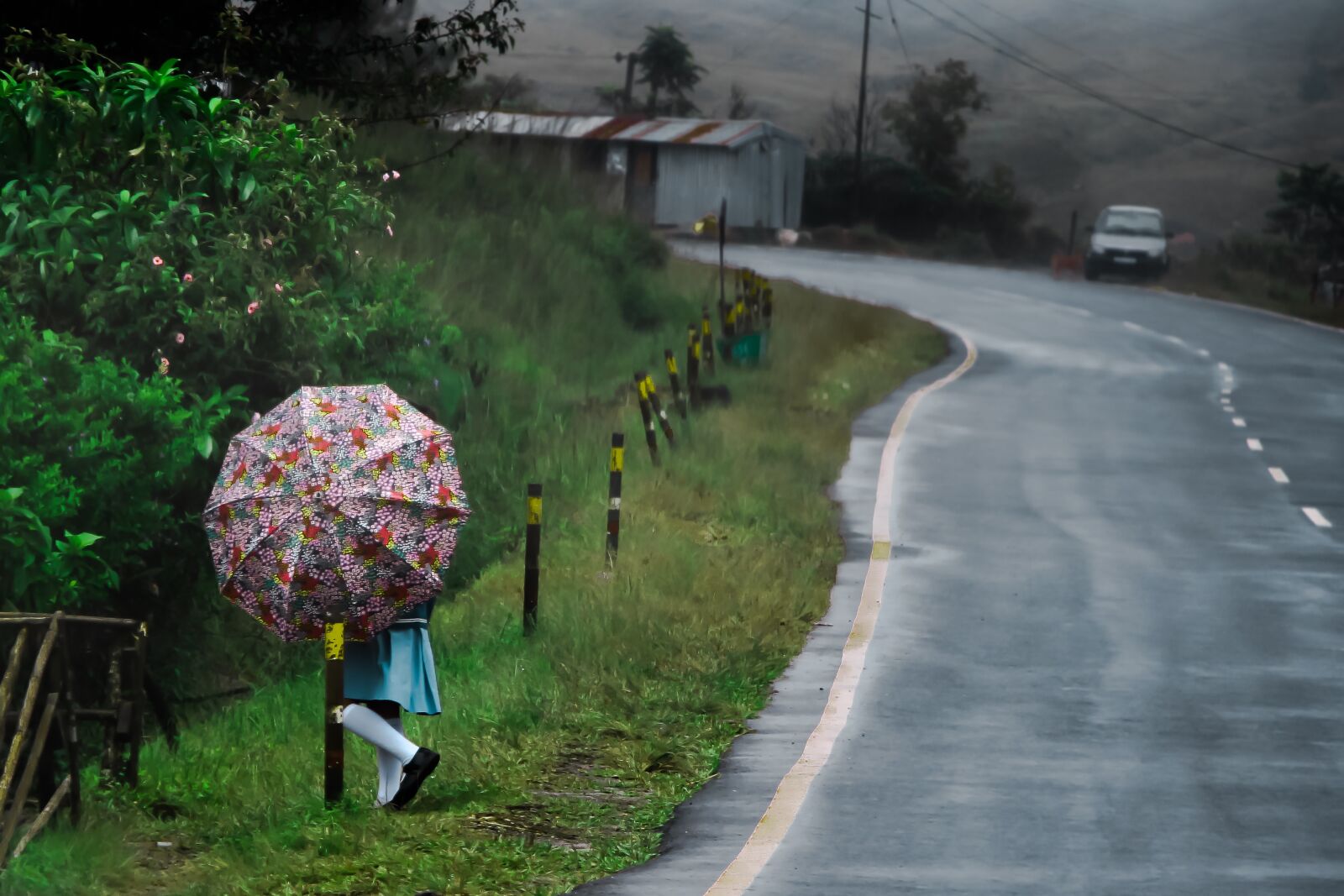 Canon EF-S 18-135mm F3.5-5.6 IS USM sample photo. Nature, umbrella, landscapes photography