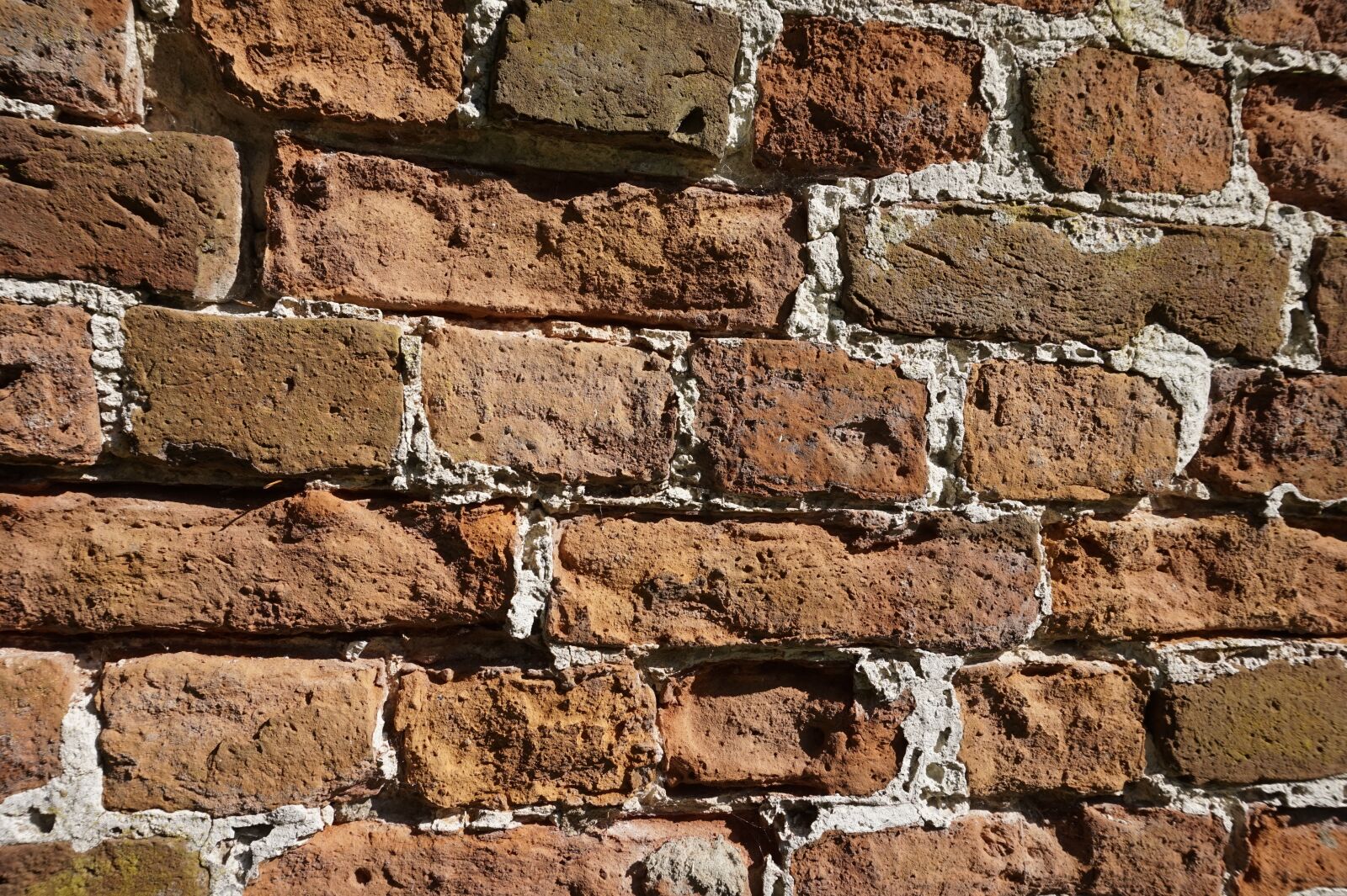 Sony Alpha a5000 (ILCE 5000) sample photo. Stone, wall, brick photography