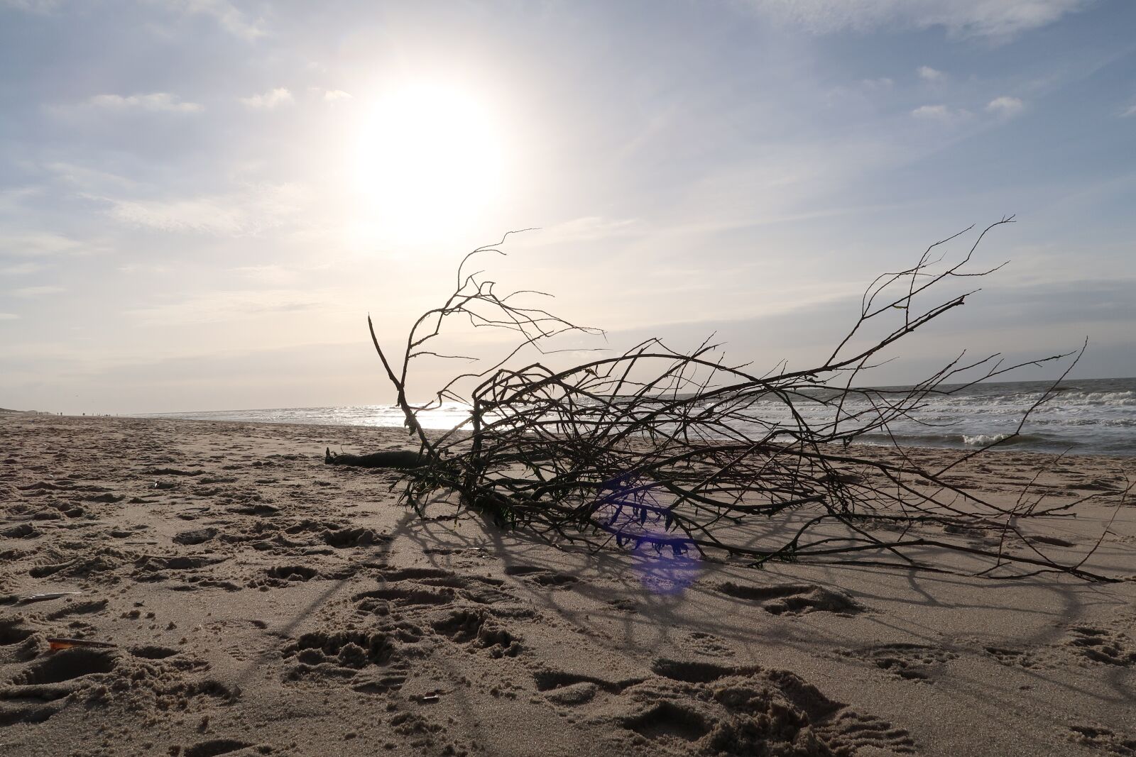 Canon PowerShot G7 X Mark II sample photo. Beach, north sea, sand photography