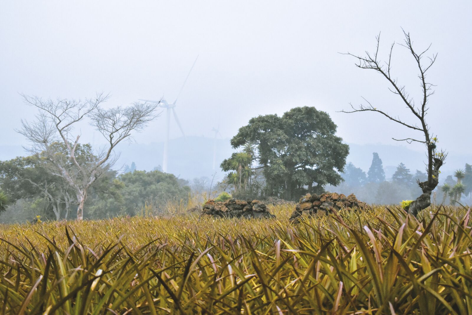 Nikon D5500 sample photo. Landscape, guatemala, sky photography