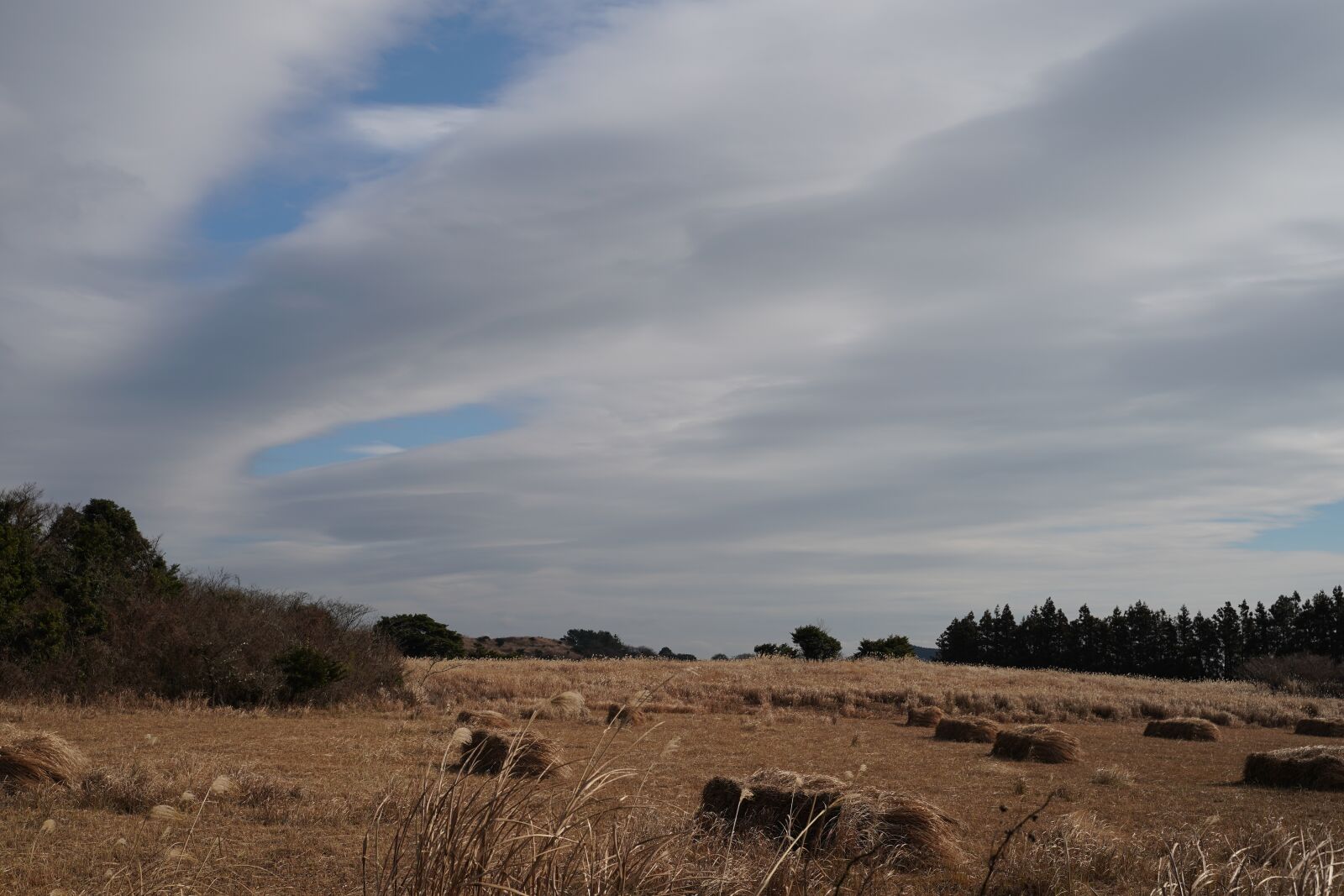 Sony a9 sample photo. Sky, cloud, farming photography