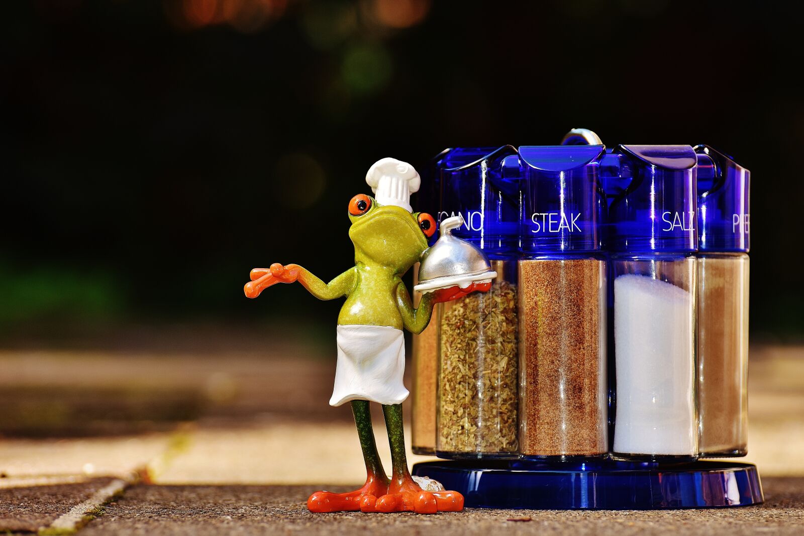 Nikon D7200 sample photo. Frog, cooking, spices photography