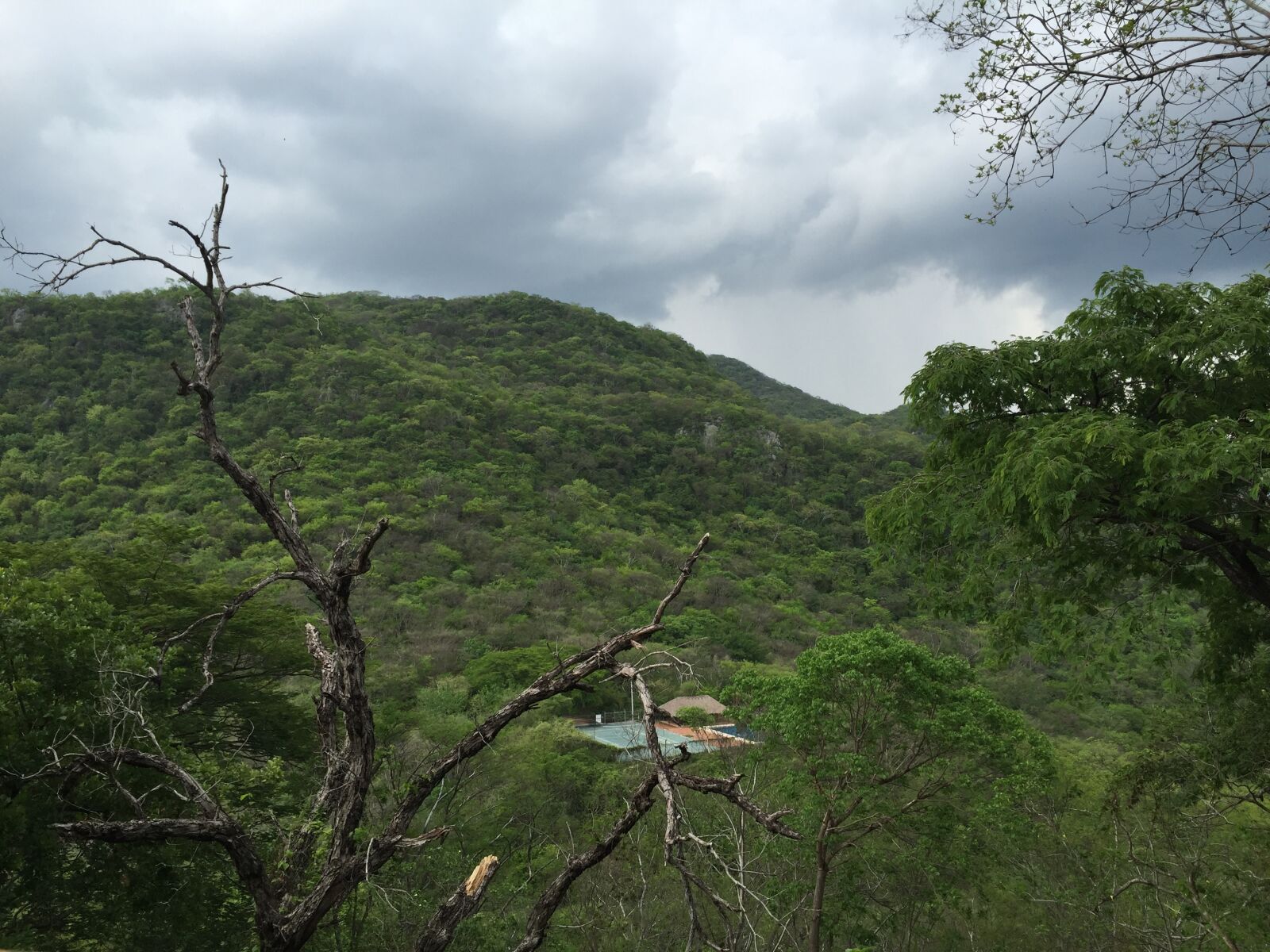 iPhone 6 back camera 4.15mm f/2.2 sample photo. Cloud, cloudy, forest, green photography