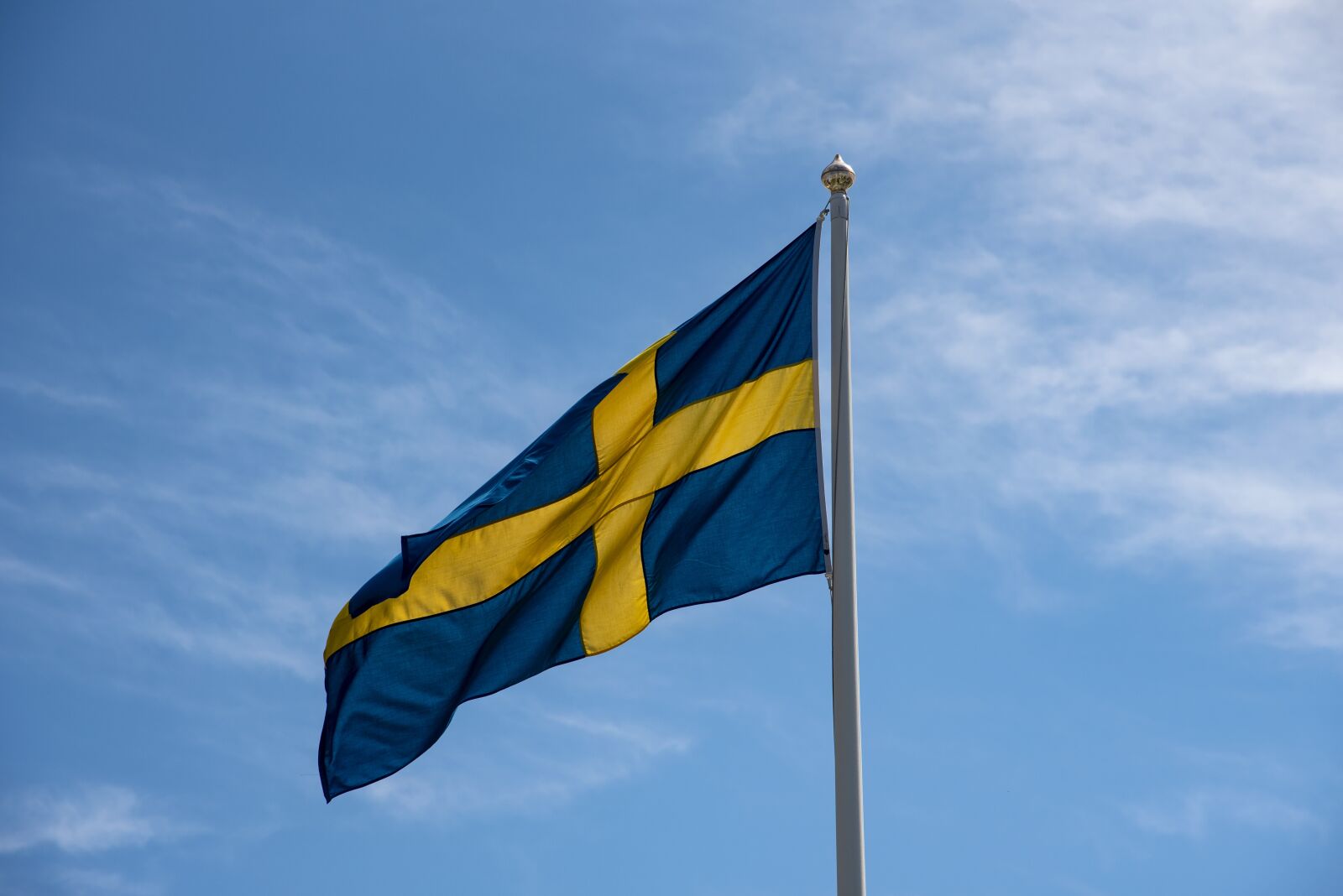 Nikon D750 sample photo. Swedish flag, sweden, blue-and-yellow photography