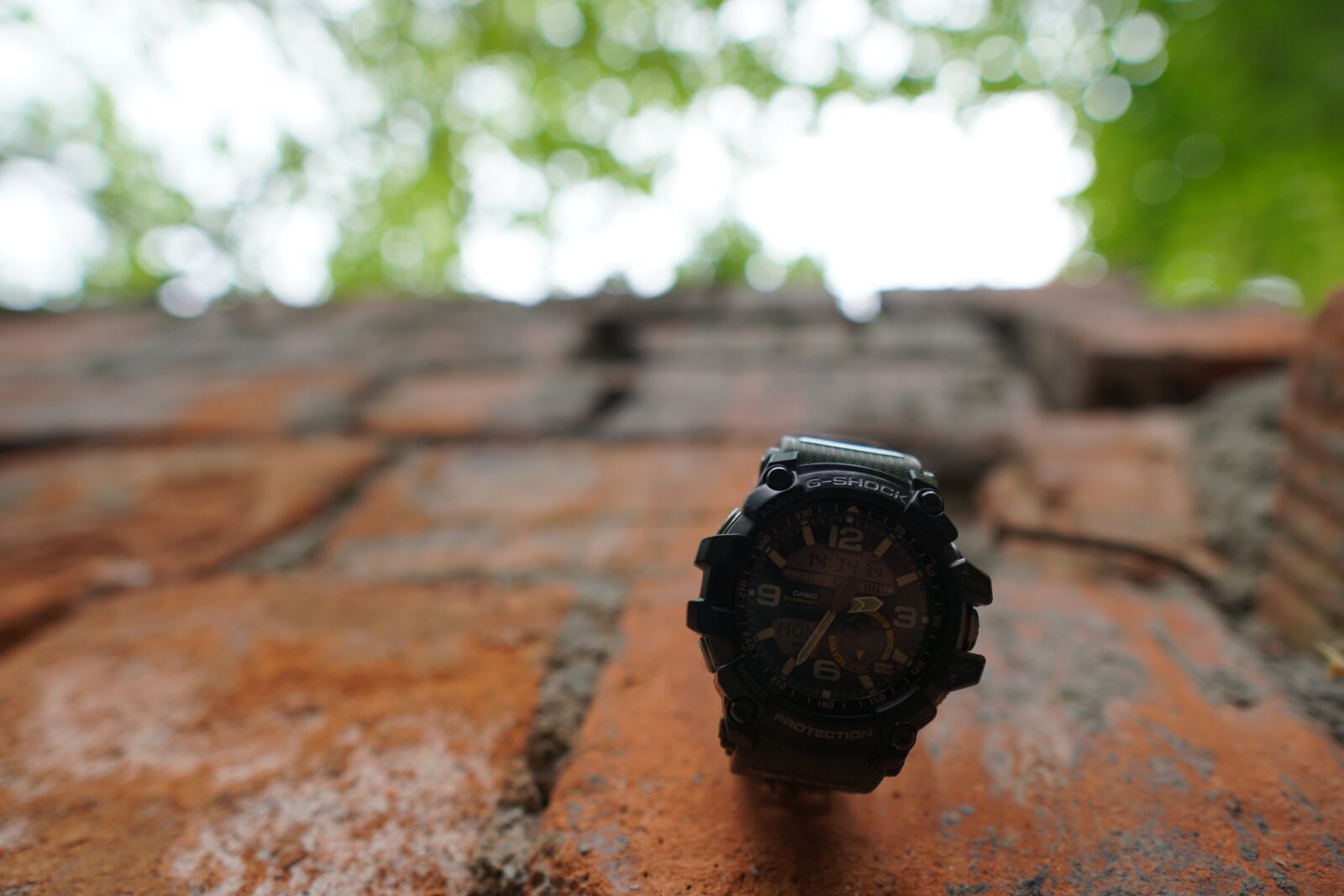 Sony a6400 + Sigma 16mm F1.4 DC DN | C sample photo. Casio, forest, a watch photography