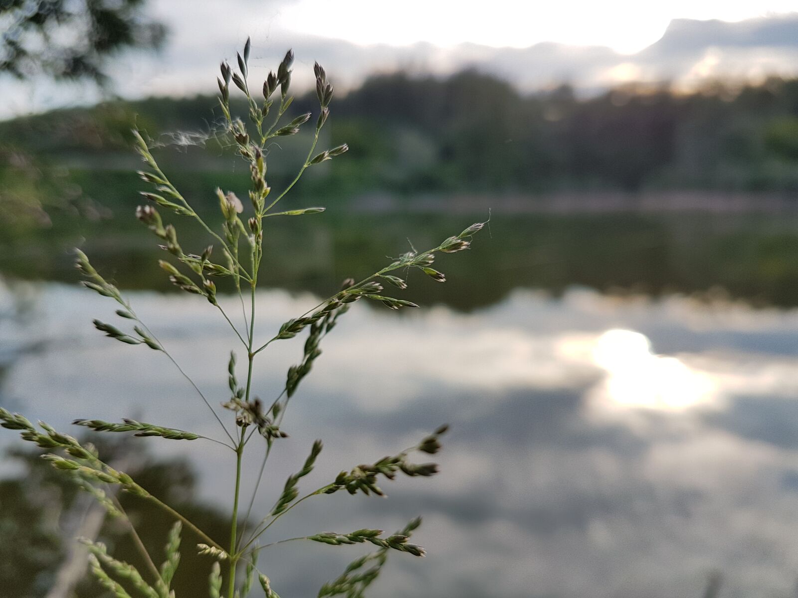 Samsung Galaxy S7 Edge sample photo. Waterfront, nature, lake photography