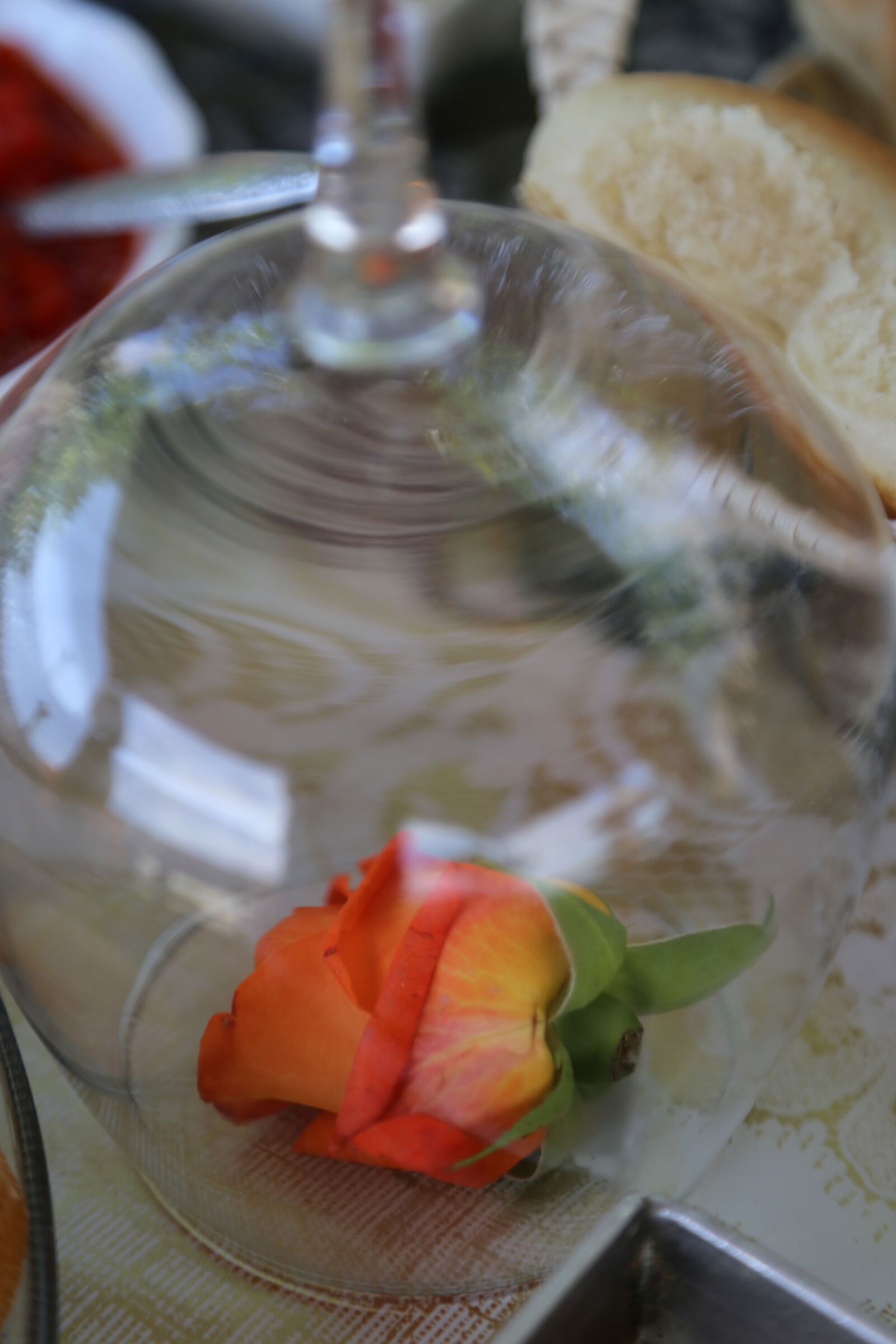 Canon EF 24-105mm F4L IS USM sample photo. Rose, underneath, crystal, elegant photography