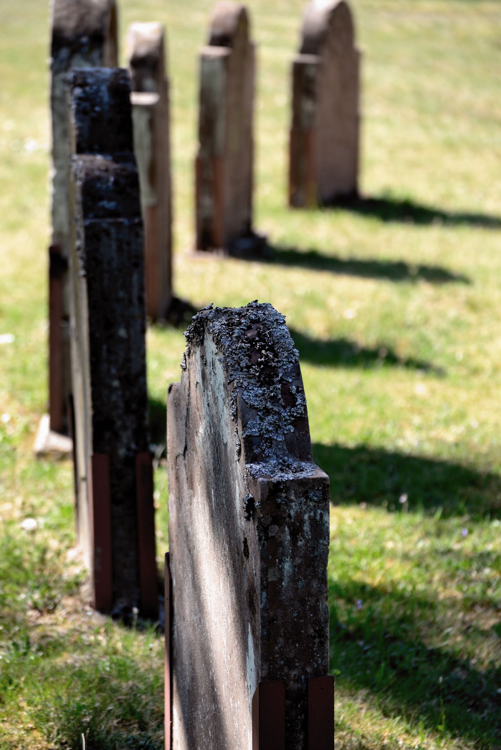 Nikon D610 sample photo. Grave stones, tombstones, cemetery photography