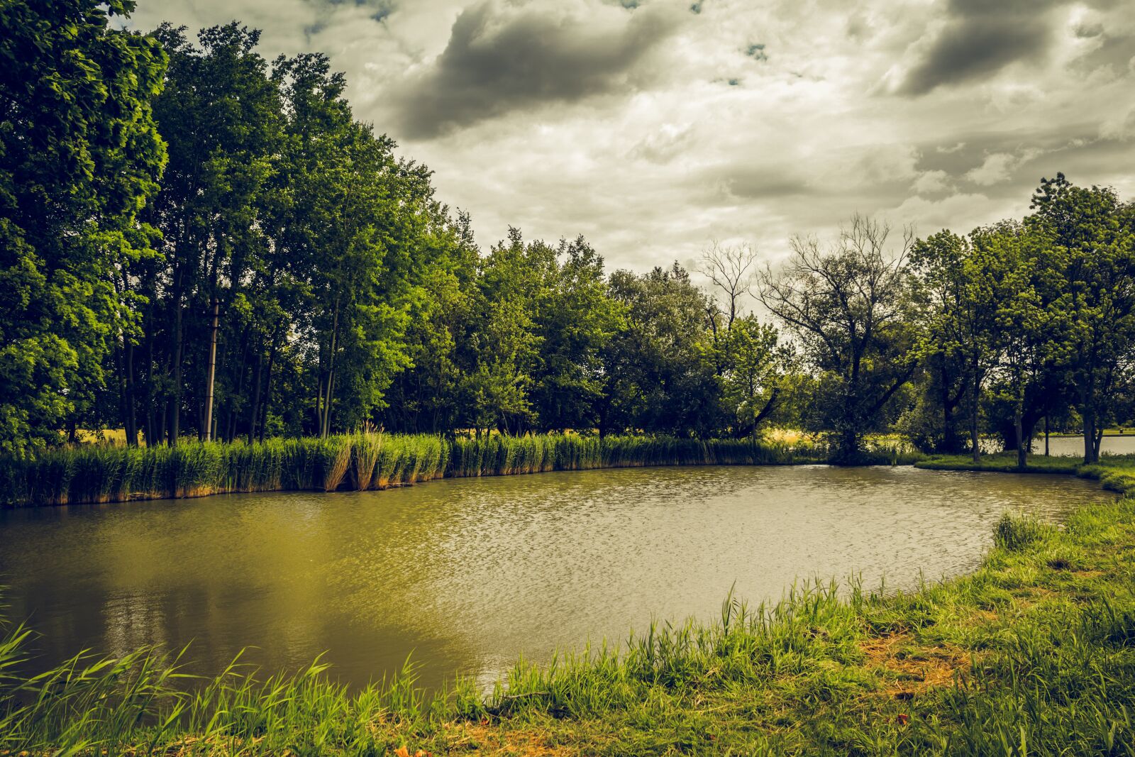 Canon EOS 100D (EOS Rebel SL1 / EOS Kiss X7) sample photo. Pond, clouds, trees photography