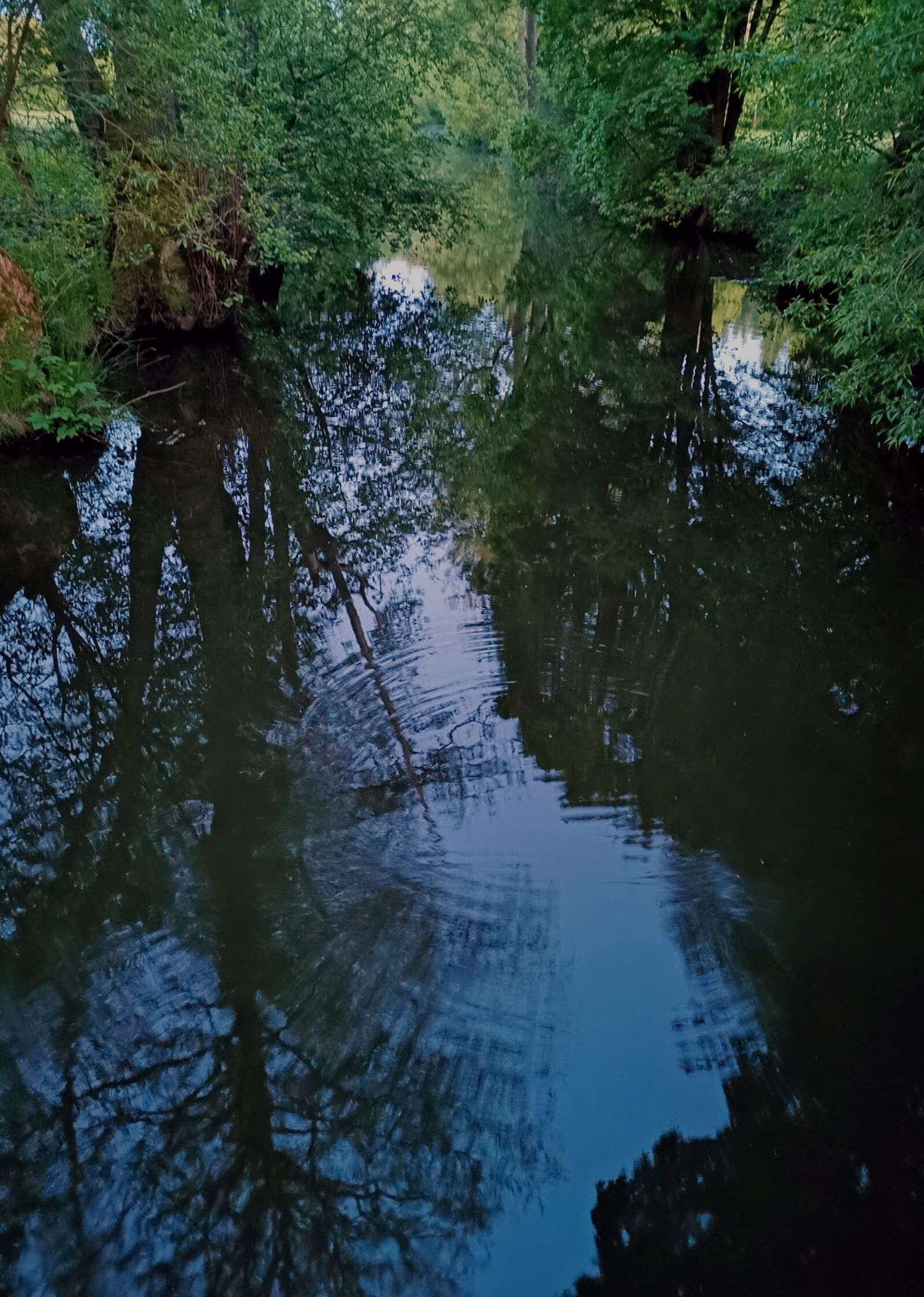 HUAWEI P30 sample photo. Water, trees, bach photography