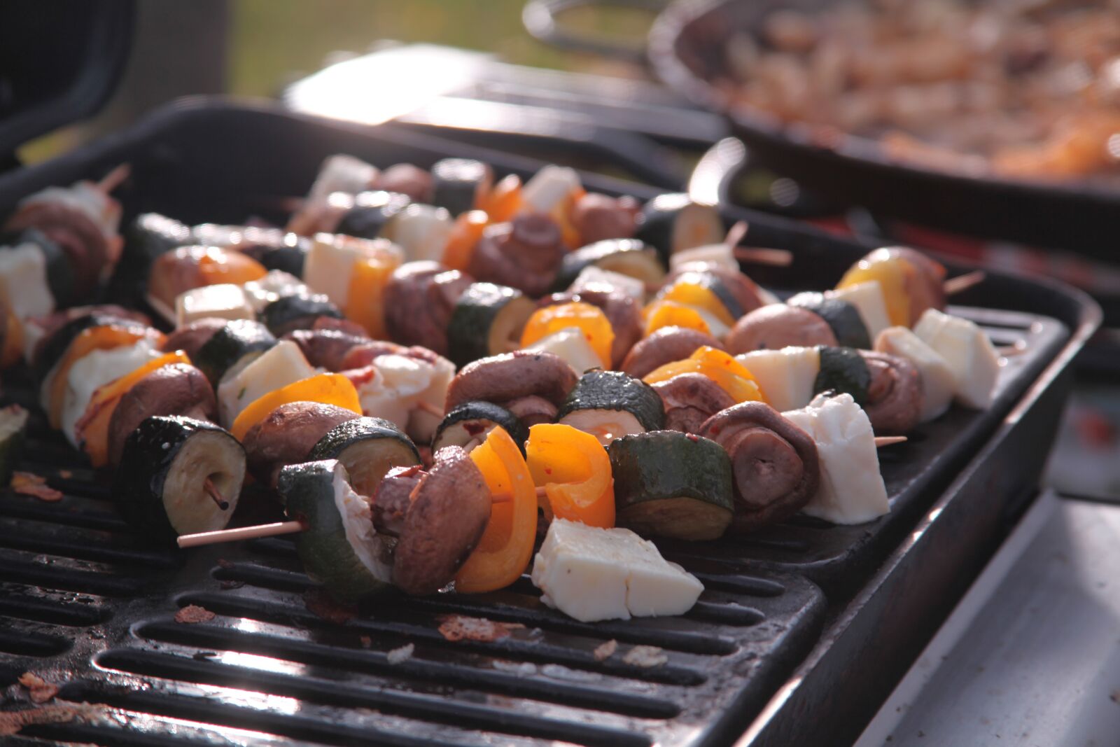 Canon EOS 5D Mark II sample photo. Barbecue, bbq, kebabs photography