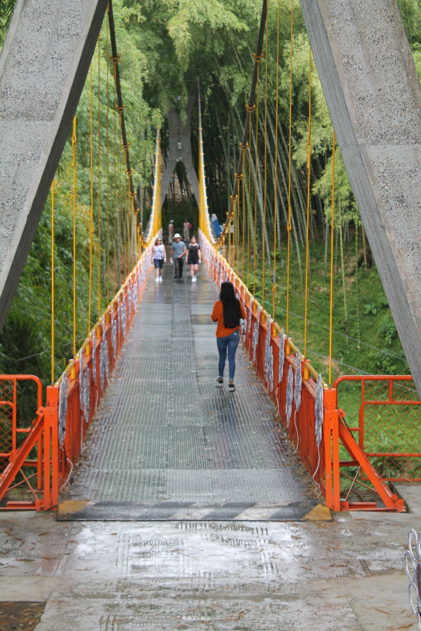 Canon EOS 1100D (EOS Rebel T3 / EOS Kiss X50) sample photo. Nature, landscape, peace photography