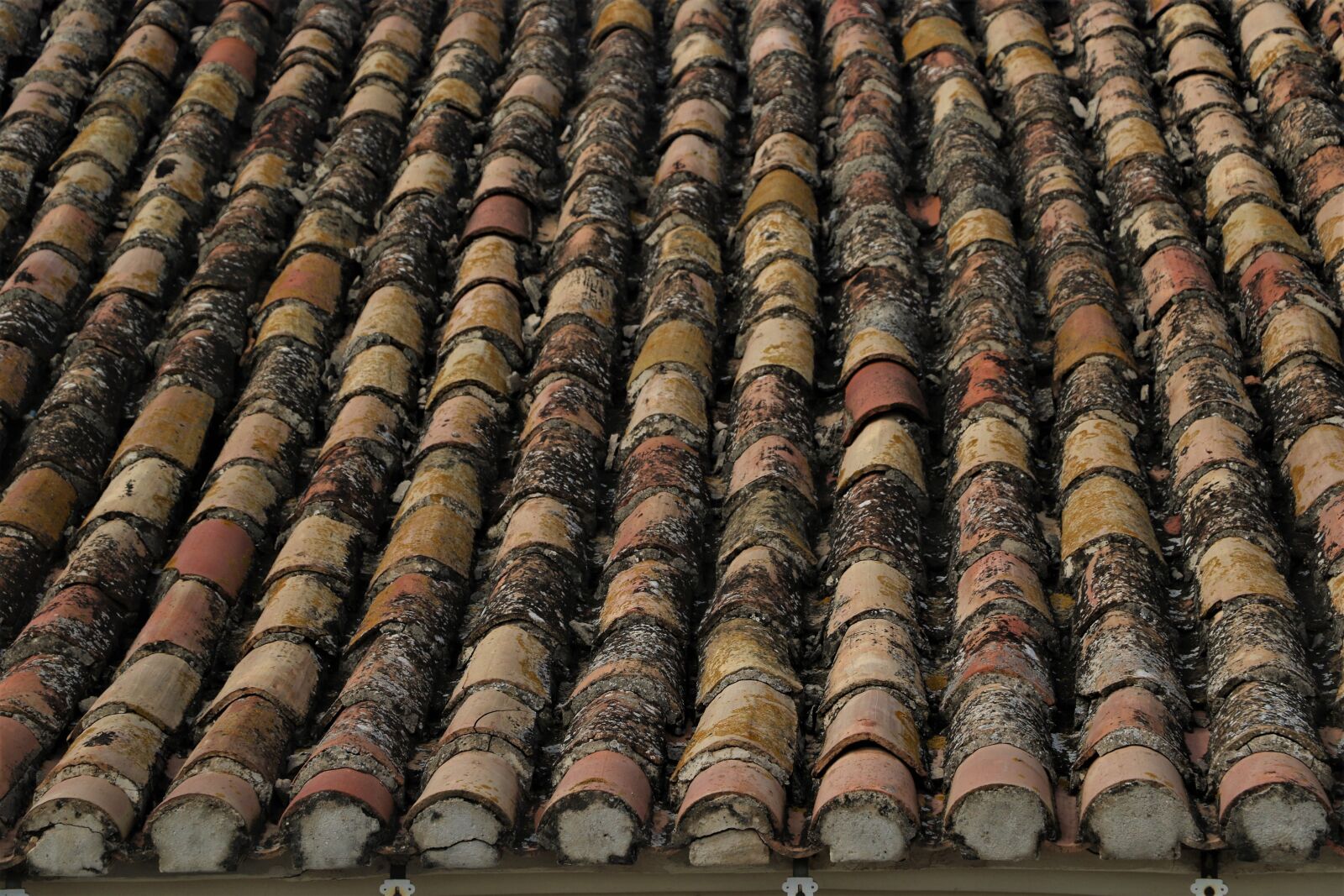Canon EOS 7D Mark II sample photo. Slate, roof, architecture photography
