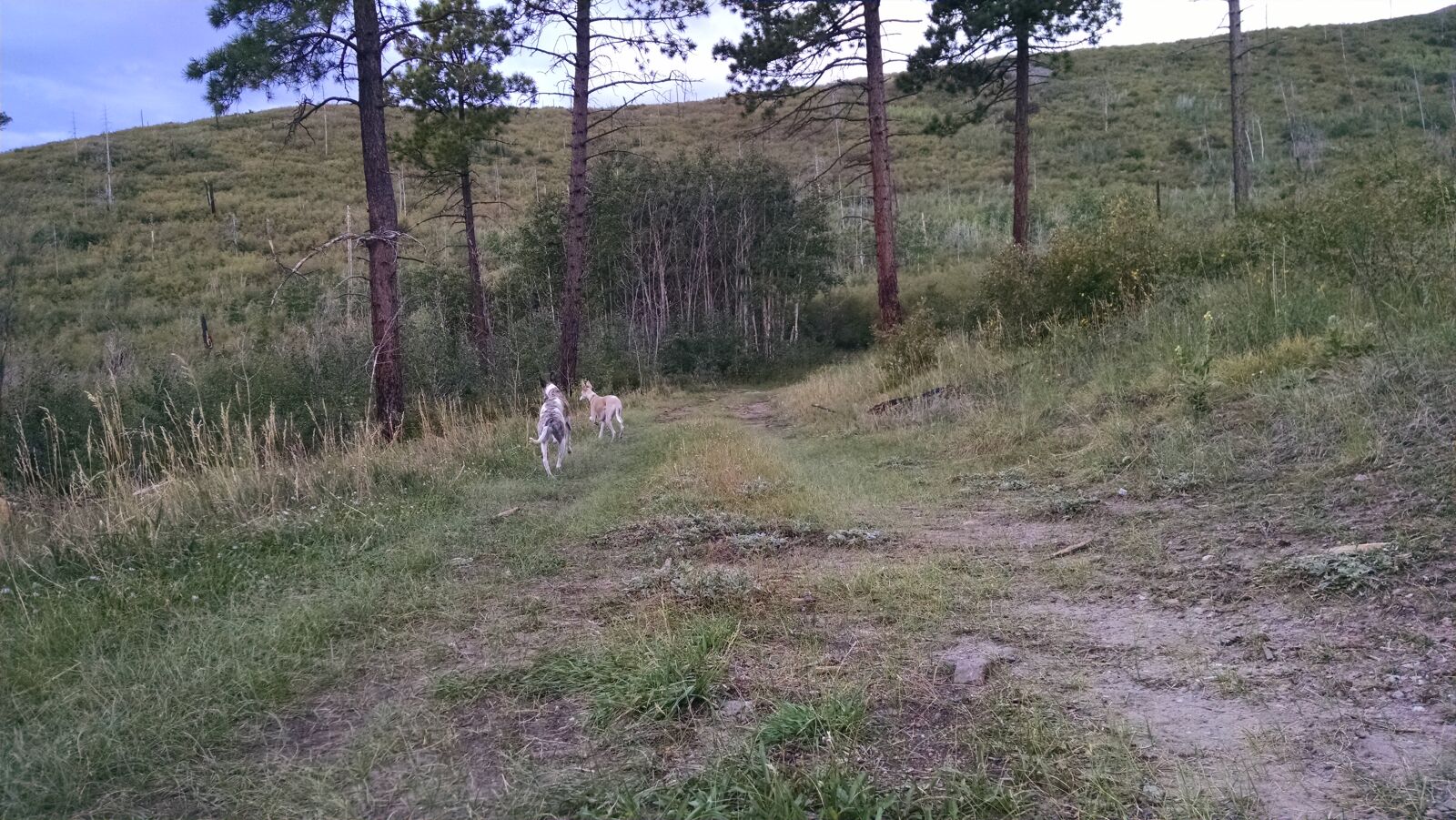 Motorola XT1080 sample photo