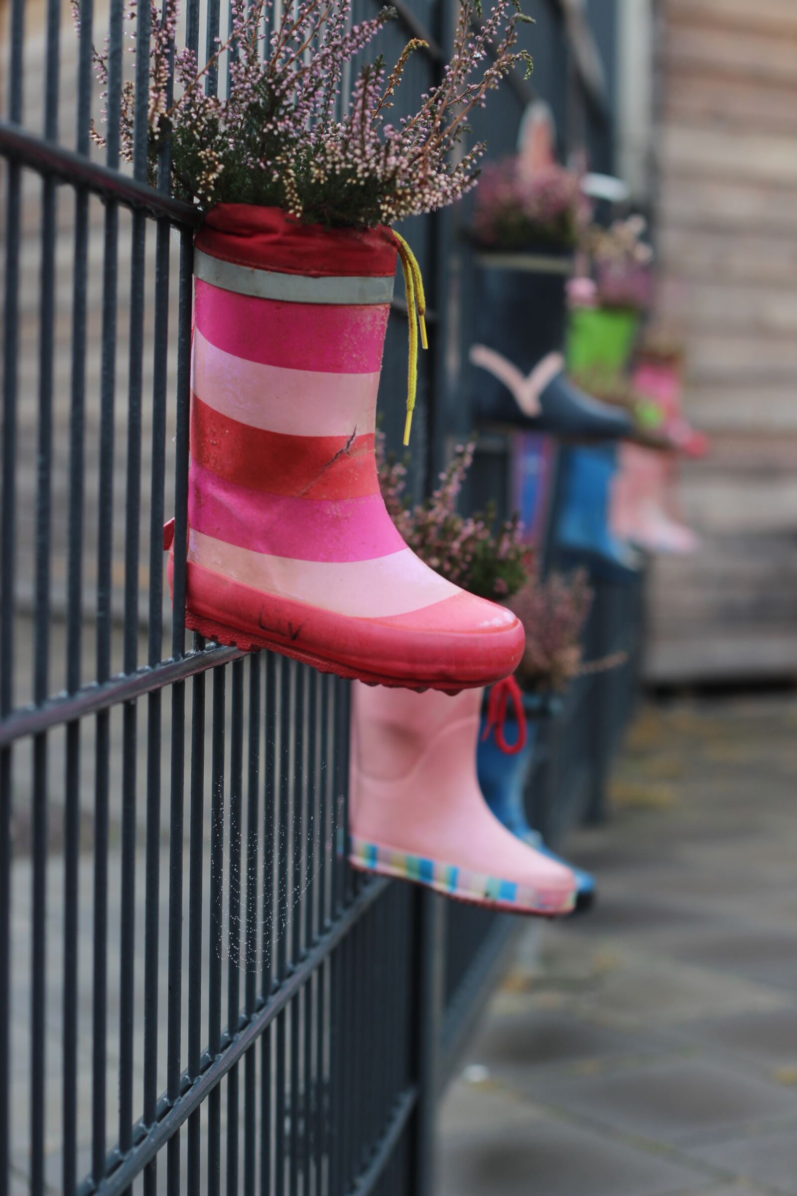 Canon EOS 600D (Rebel EOS T3i / EOS Kiss X5) + Canon EF 50mm F1.8 II sample photo. Decoration, deco, boots photography