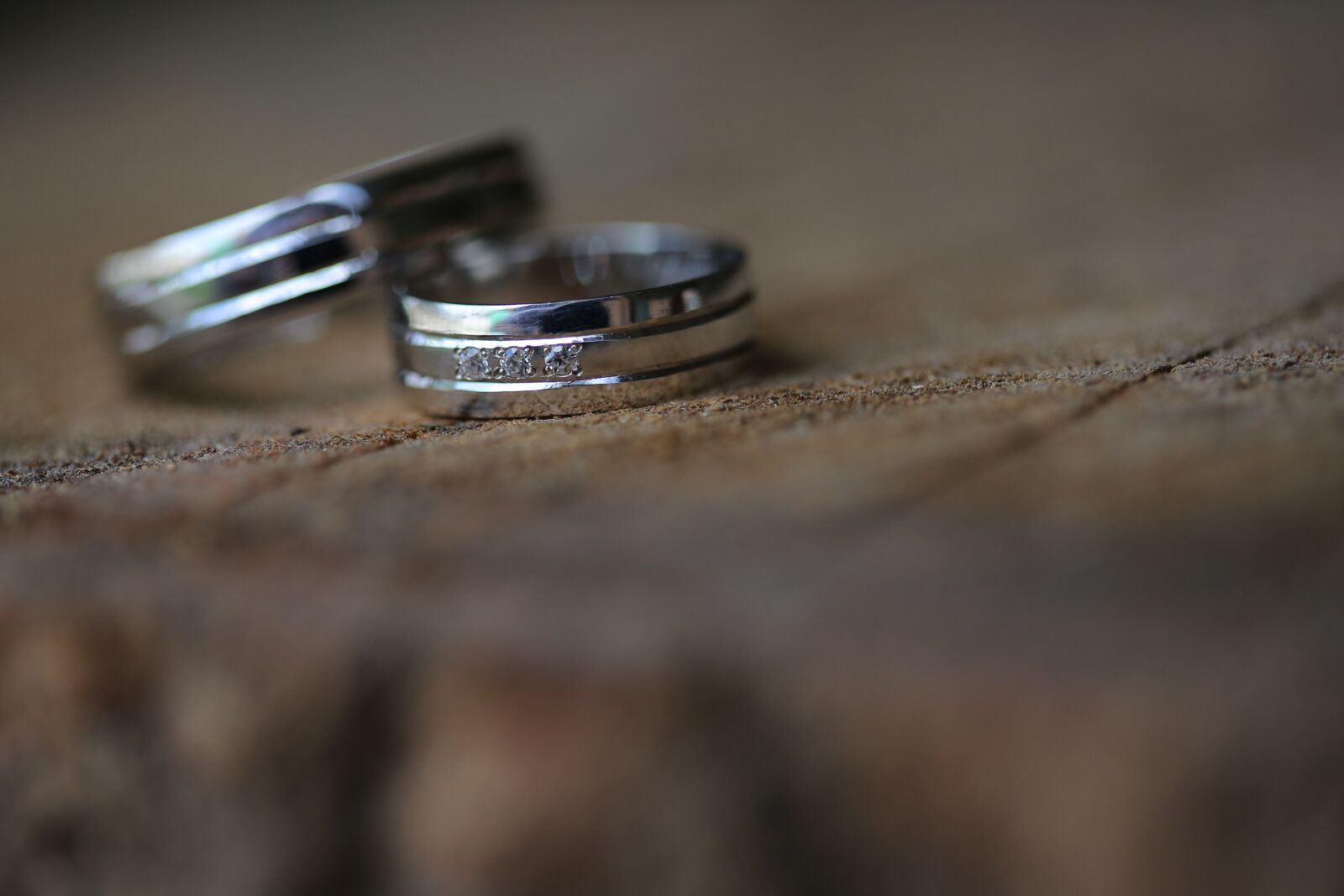 Canon EF 100mm F2.8 Macro USM sample photo. Brilliant, close-up, platinum, rings photography